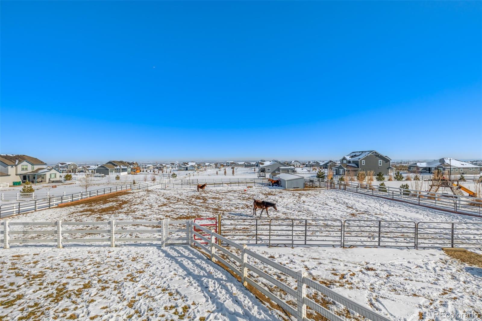 MLS Image #40 for 16122  emporia way,brighton, Colorado