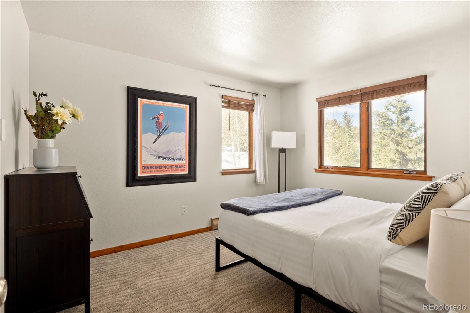 MLS Image #22 for 464  ponderosa drive,evergreen, Colorado