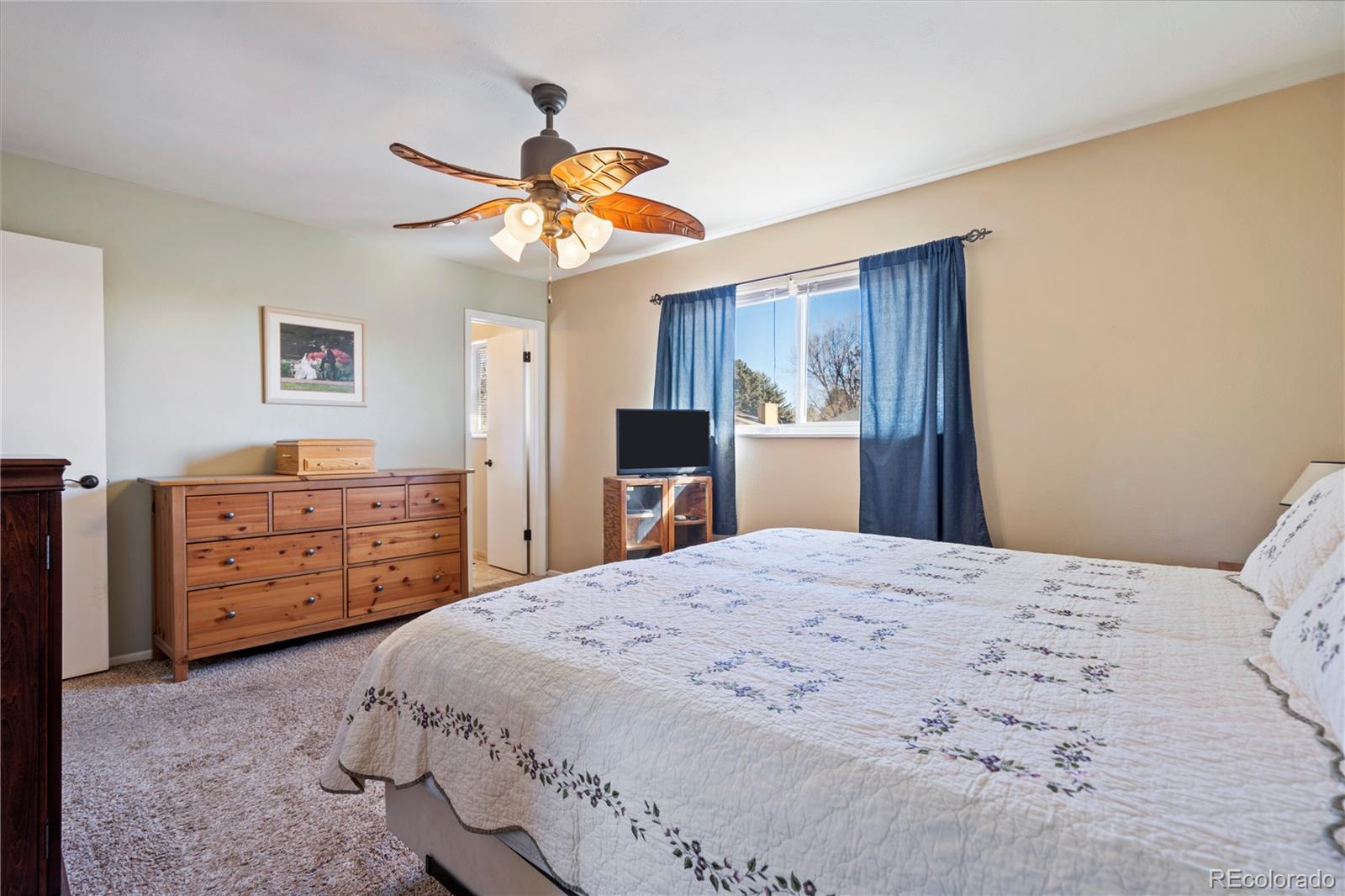 MLS Image #26 for 4035  haven lane,colorado springs, Colorado