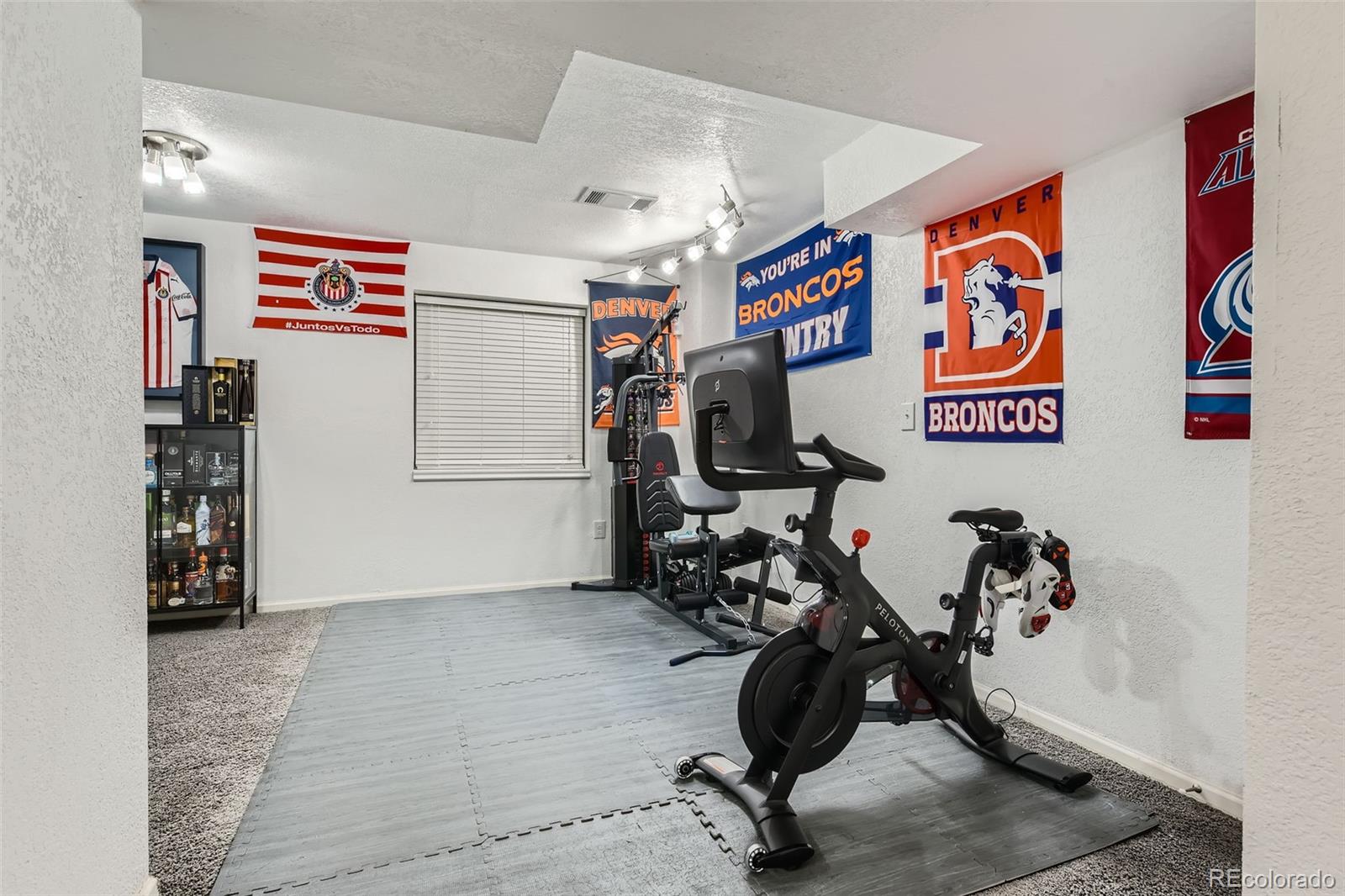 MLS Image #21 for 20942 e 40th place,denver, Colorado