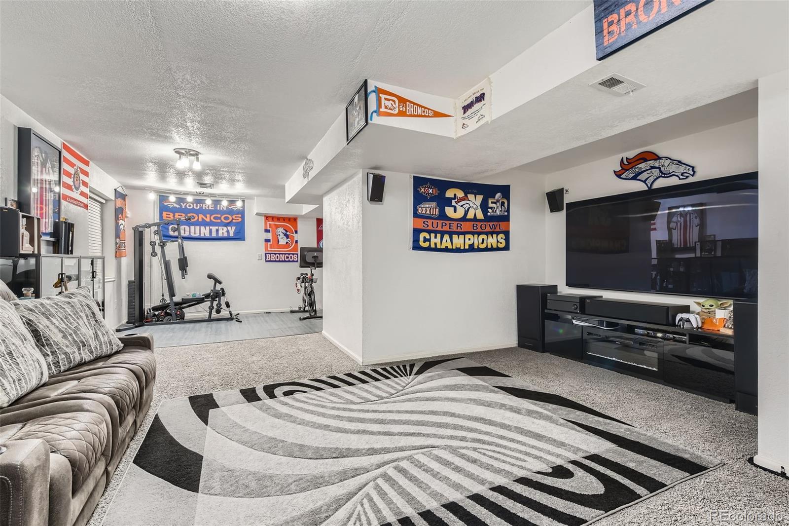 MLS Image #23 for 20942 e 40th place,denver, Colorado