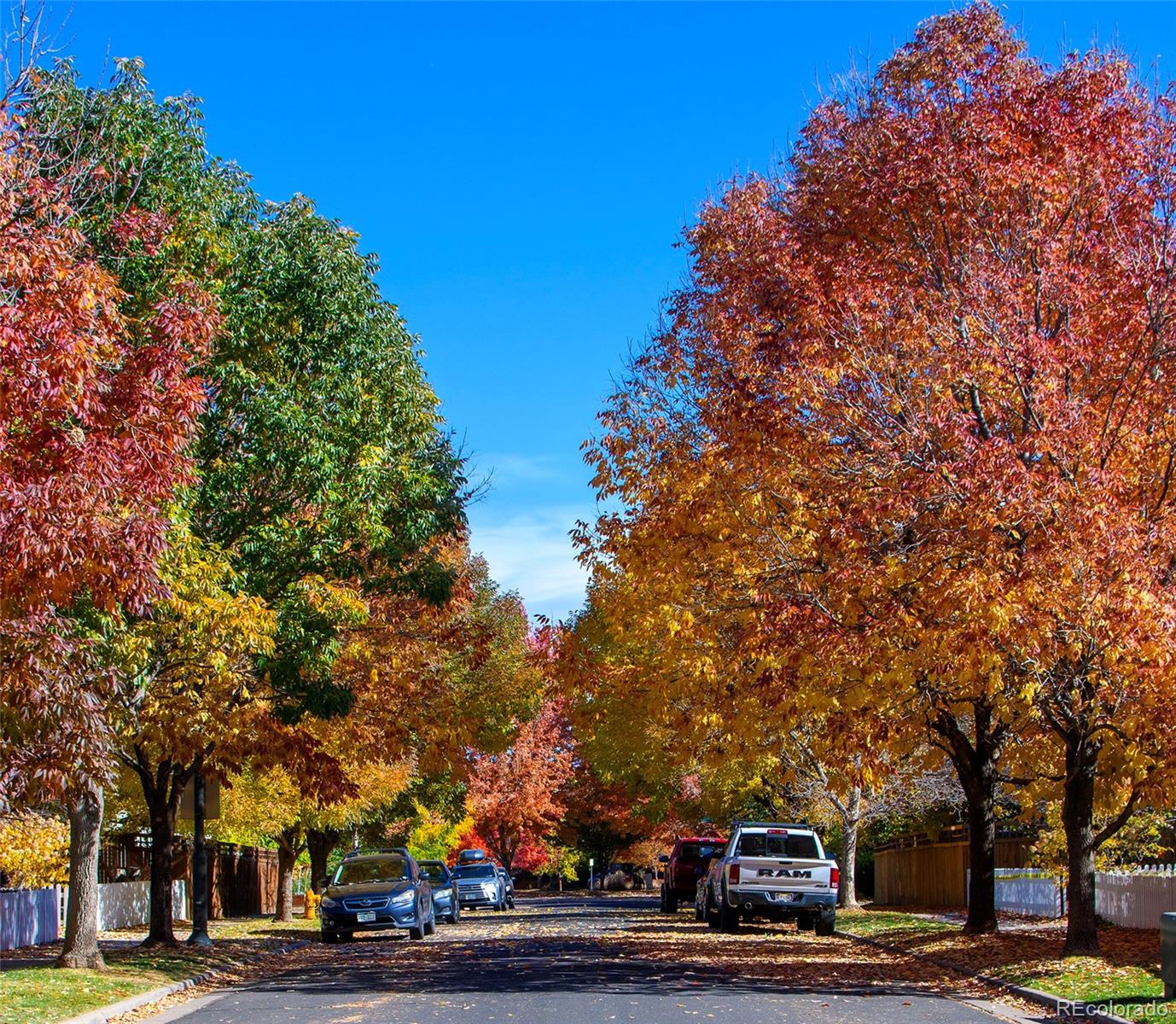 MLS Image #22 for 7704 e 25th avenue,denver, Colorado