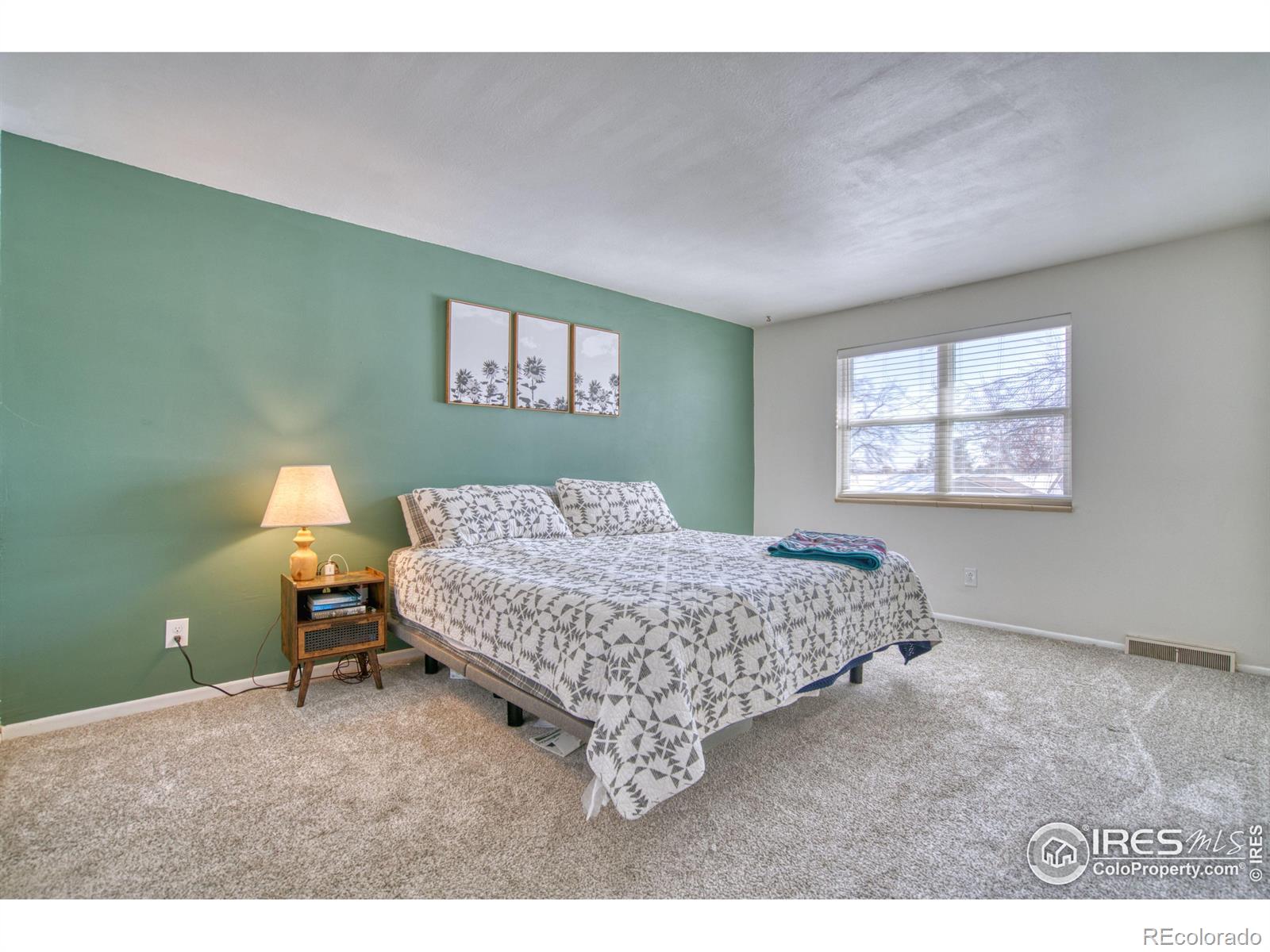 MLS Image #10 for 8267  quay court,arvada, Colorado