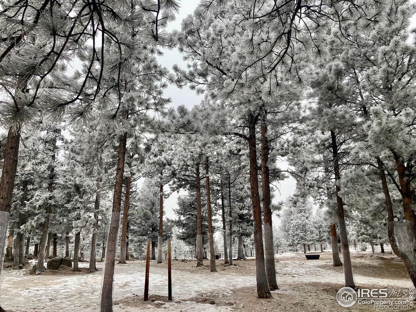 MLS Image #35 for 133  mine lane,boulder, Colorado