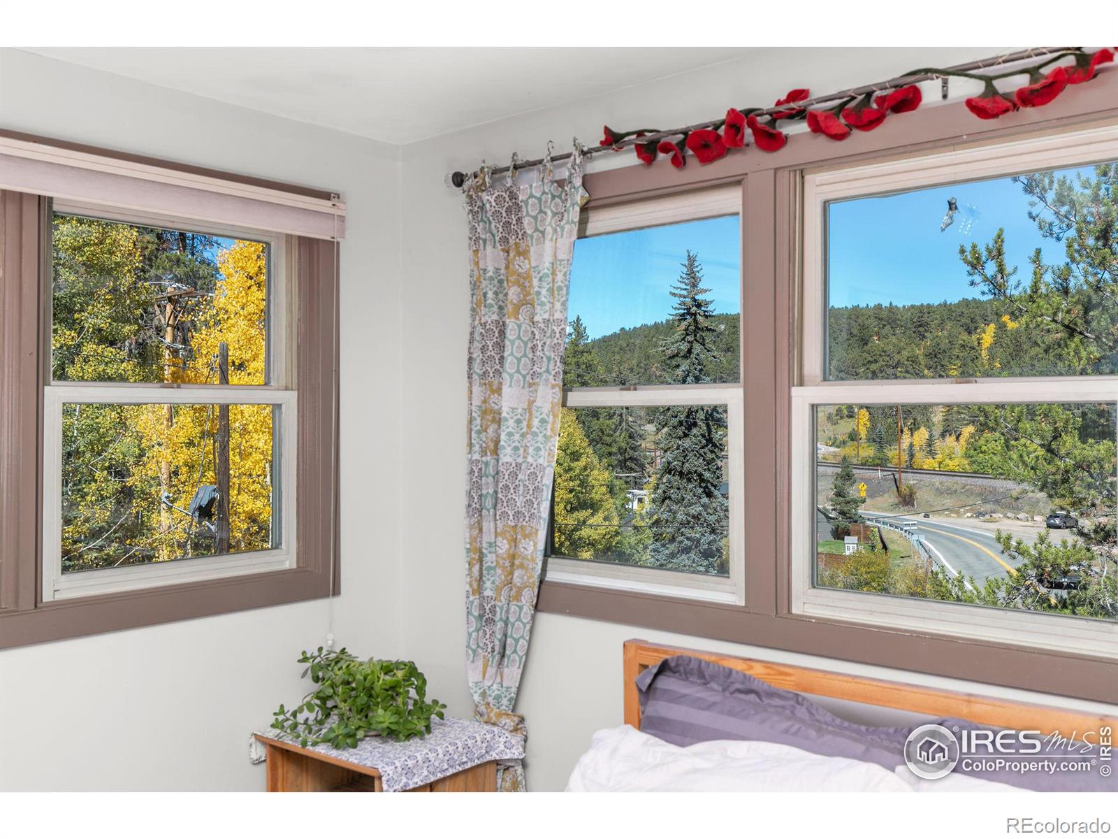 MLS Image #15 for 3072  highway 72 ,pinecliffe, Colorado