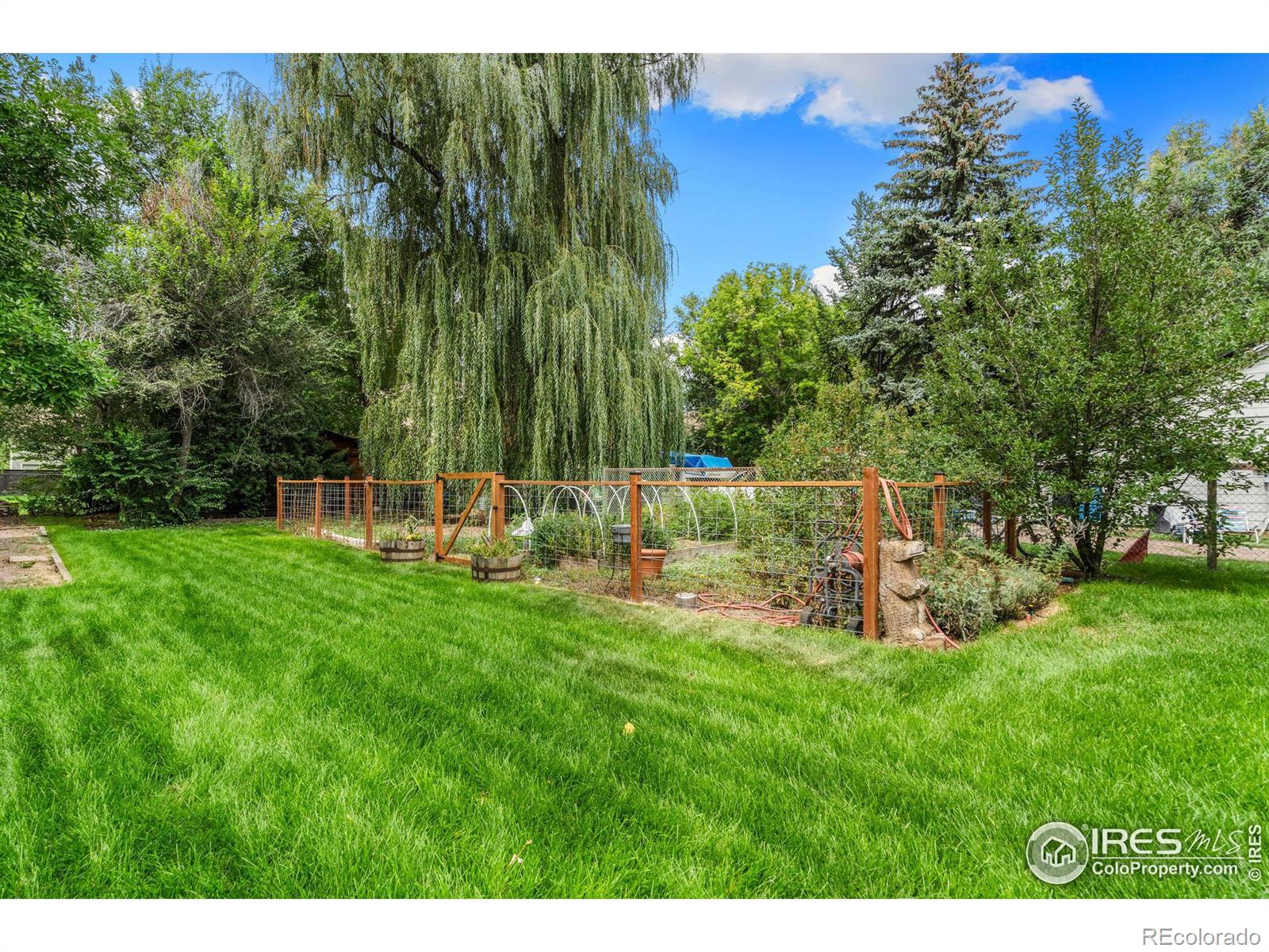 MLS Image #5 for 119 n shields street,fort collins, Colorado