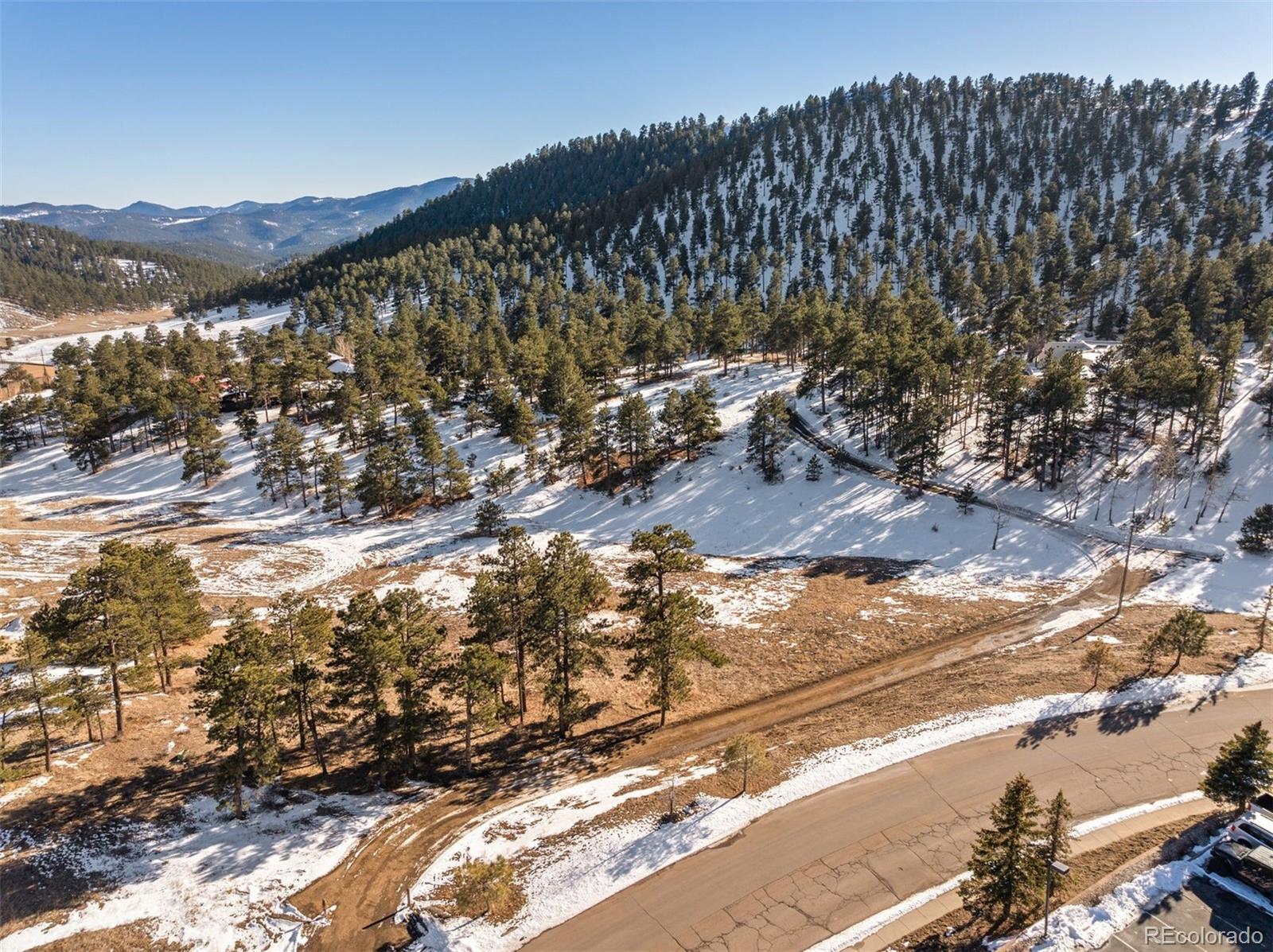 MLS Image #10 for 1053  red moon road,evergreen, Colorado