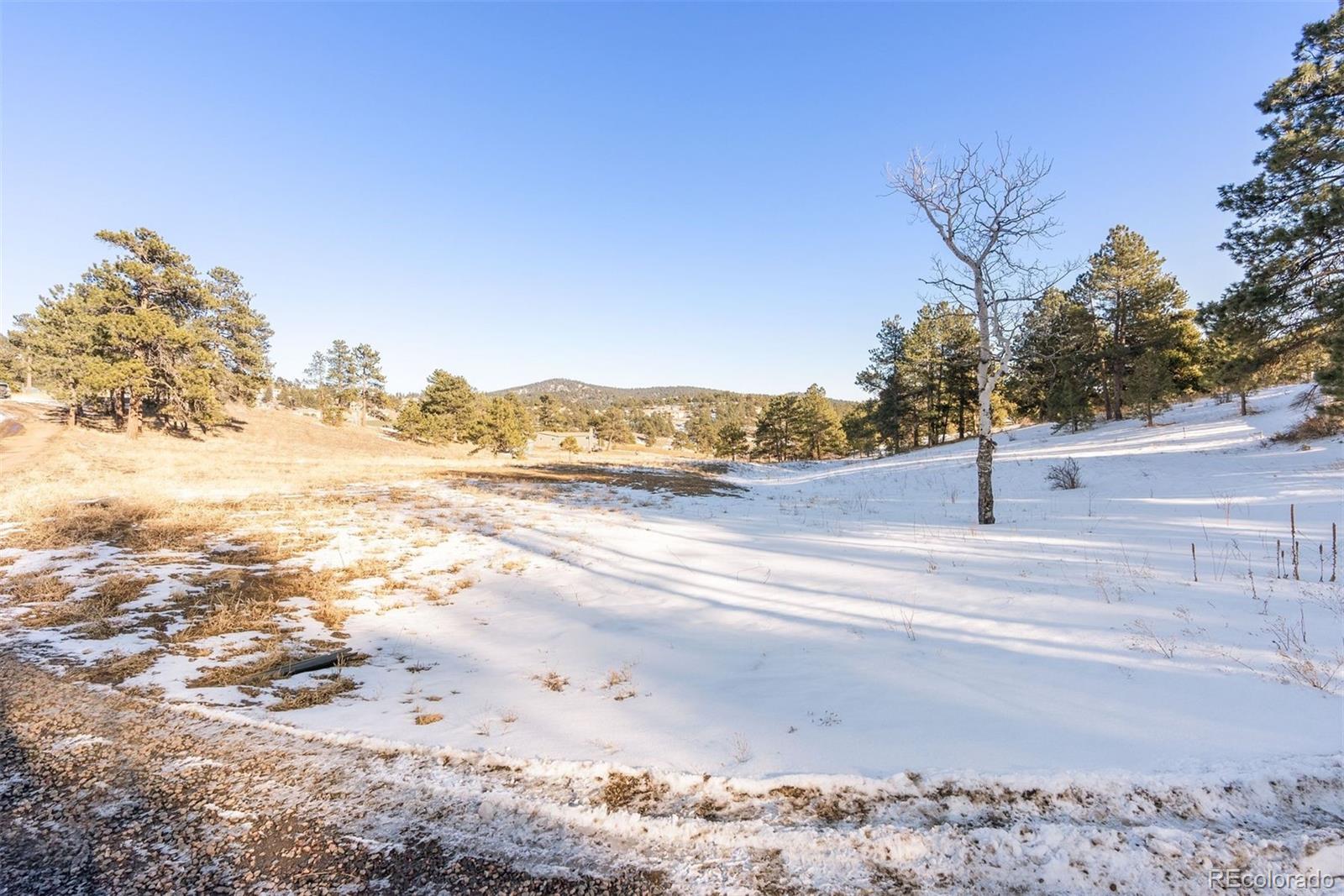 MLS Image #14 for 1053  red moon road,evergreen, Colorado