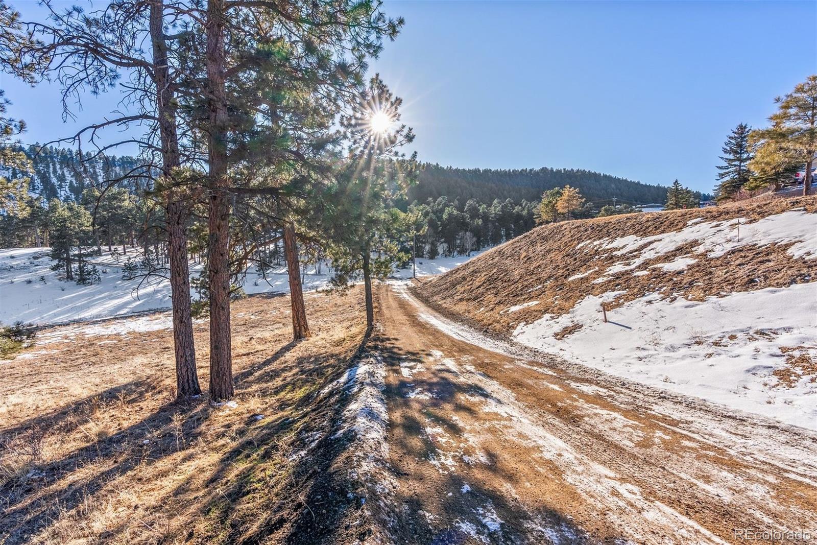 MLS Image #17 for 1053  red moon road,evergreen, Colorado