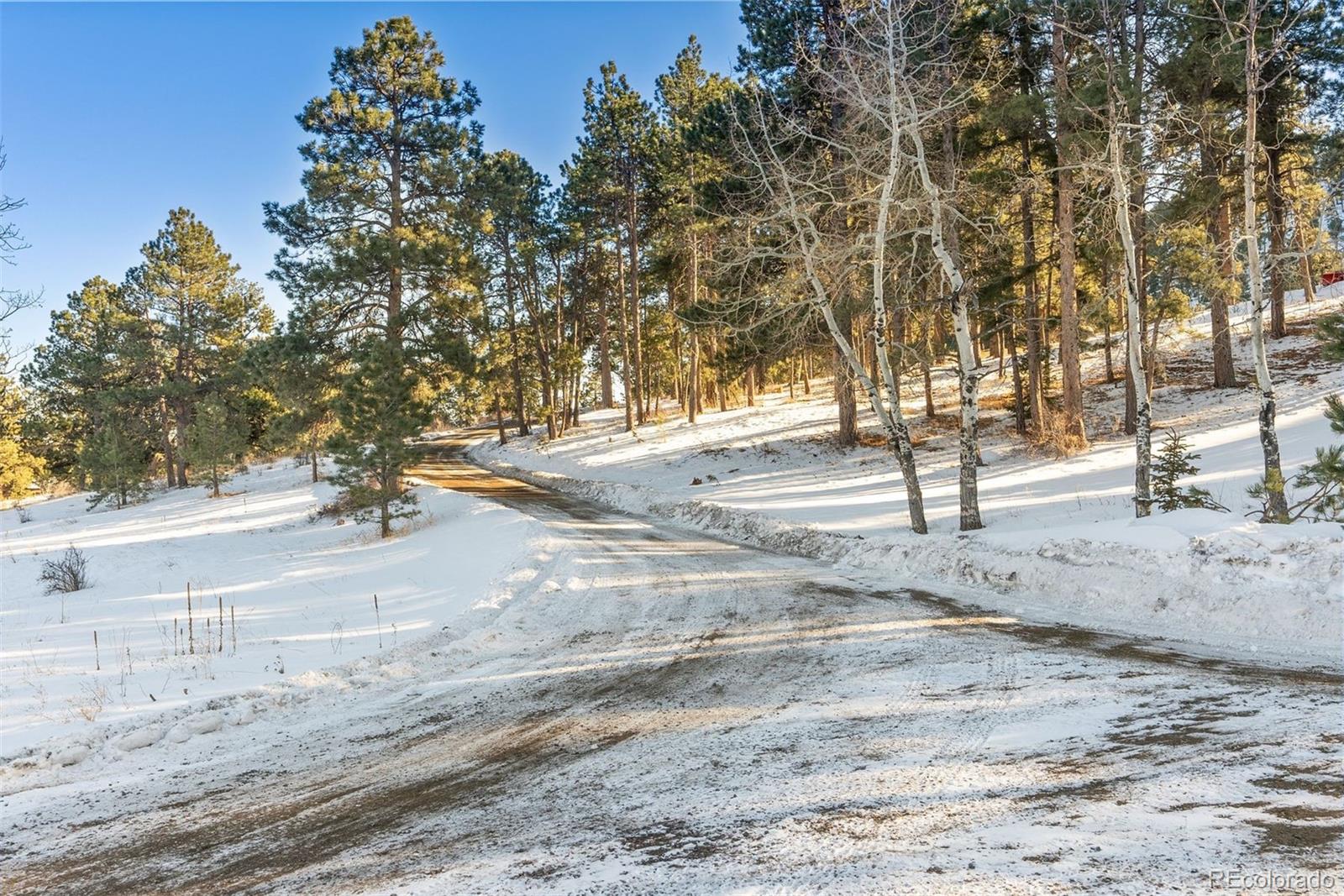 MLS Image #18 for 1053  red moon road,evergreen, Colorado