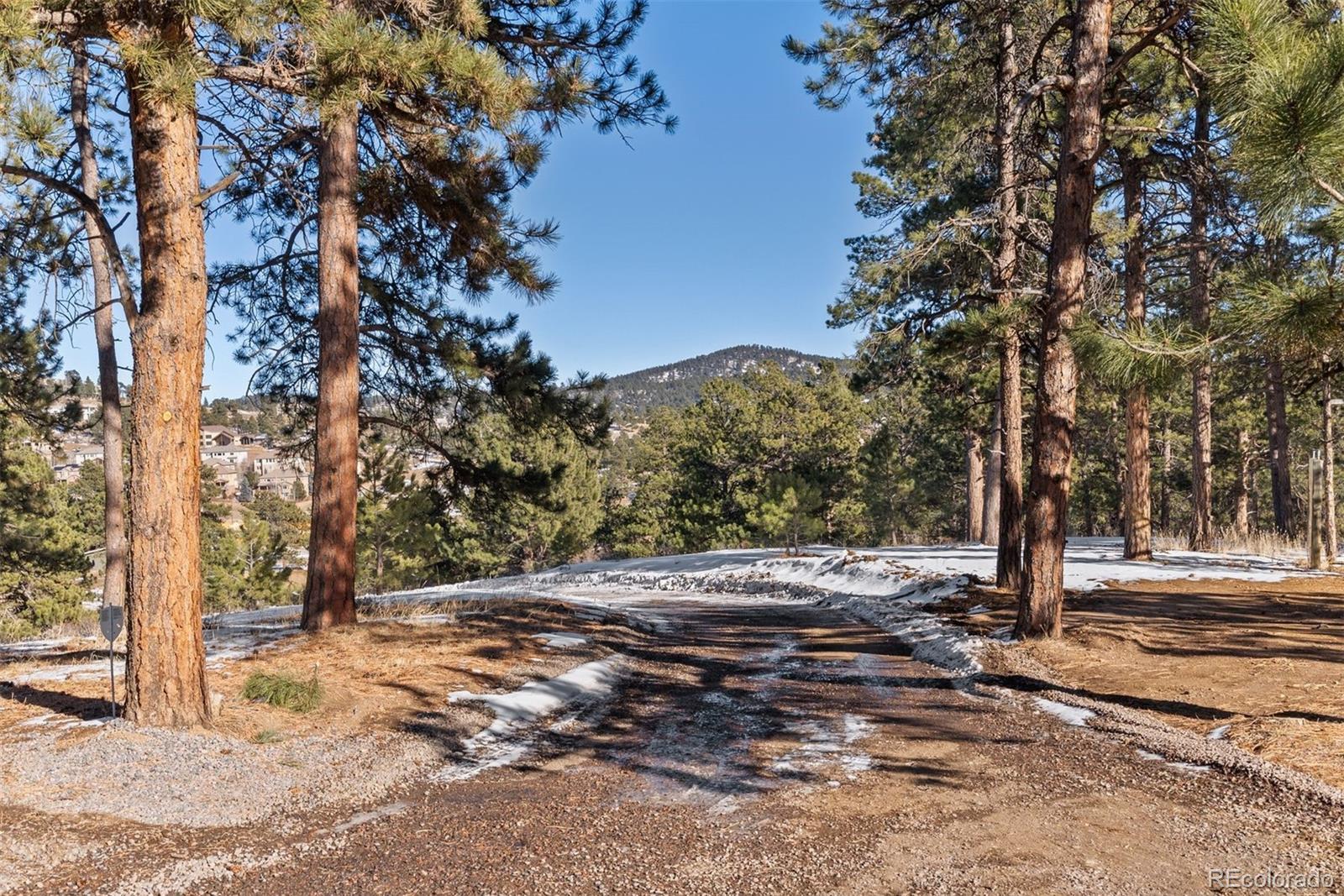 MLS Image #21 for 1053  red moon road,evergreen, Colorado