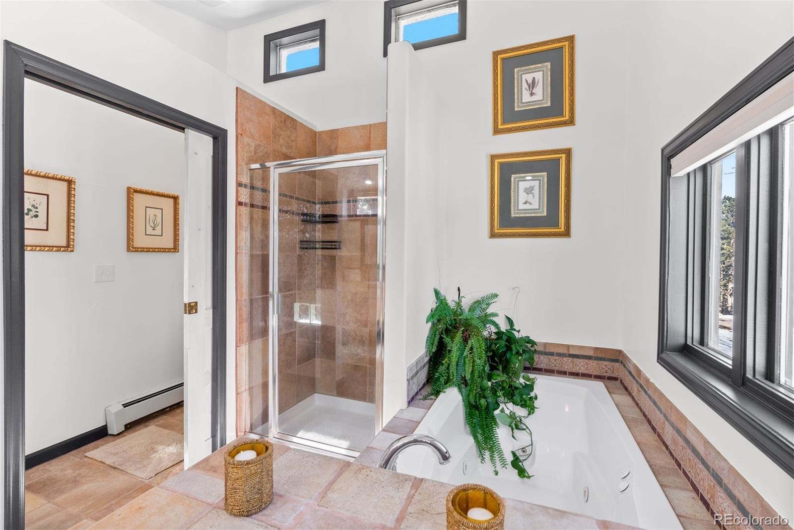 MLS Image #39 for 1053  red moon road,evergreen, Colorado
