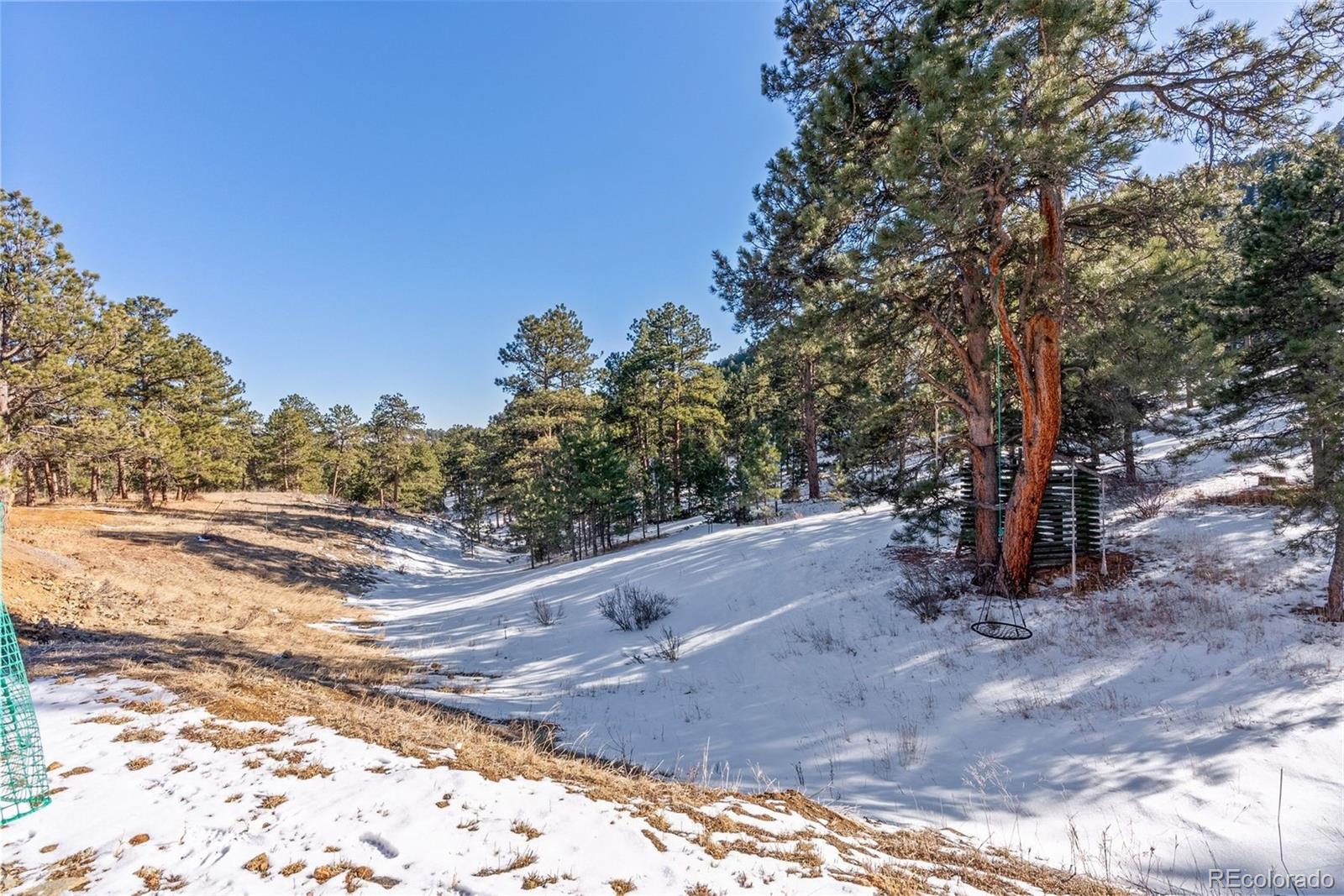 MLS Image #48 for 1053  red moon road,evergreen, Colorado