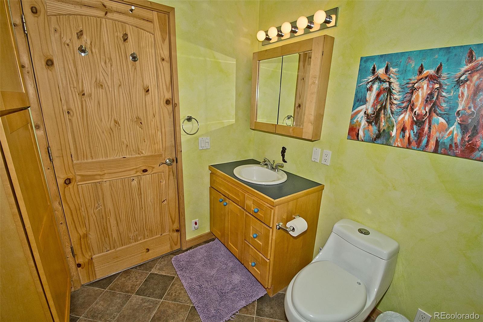 MLS Image #25 for 405 n chaparral way,crestone, Colorado