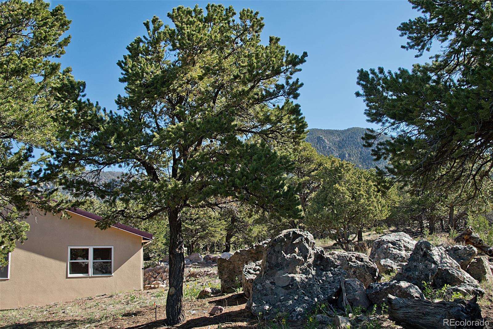 MLS Image #3 for 405 n chaparral way,crestone, Colorado