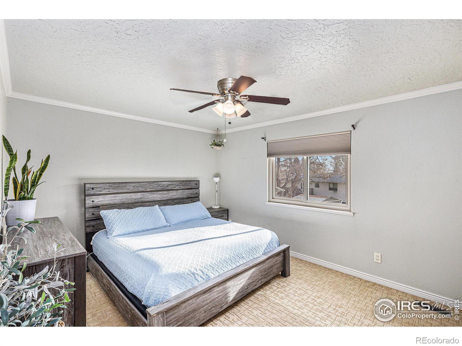 MLS Image #18 for 4302 w 22nd street,greeley, Colorado