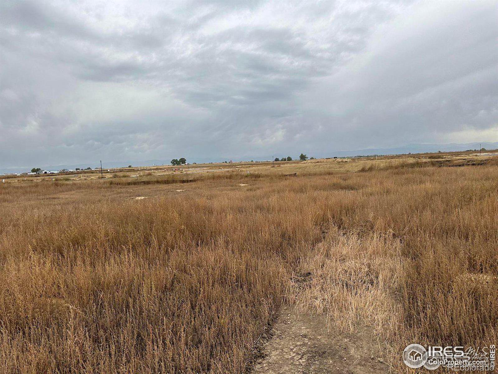 MLS Image #20 for 14387  county road 13 ,mead, Colorado