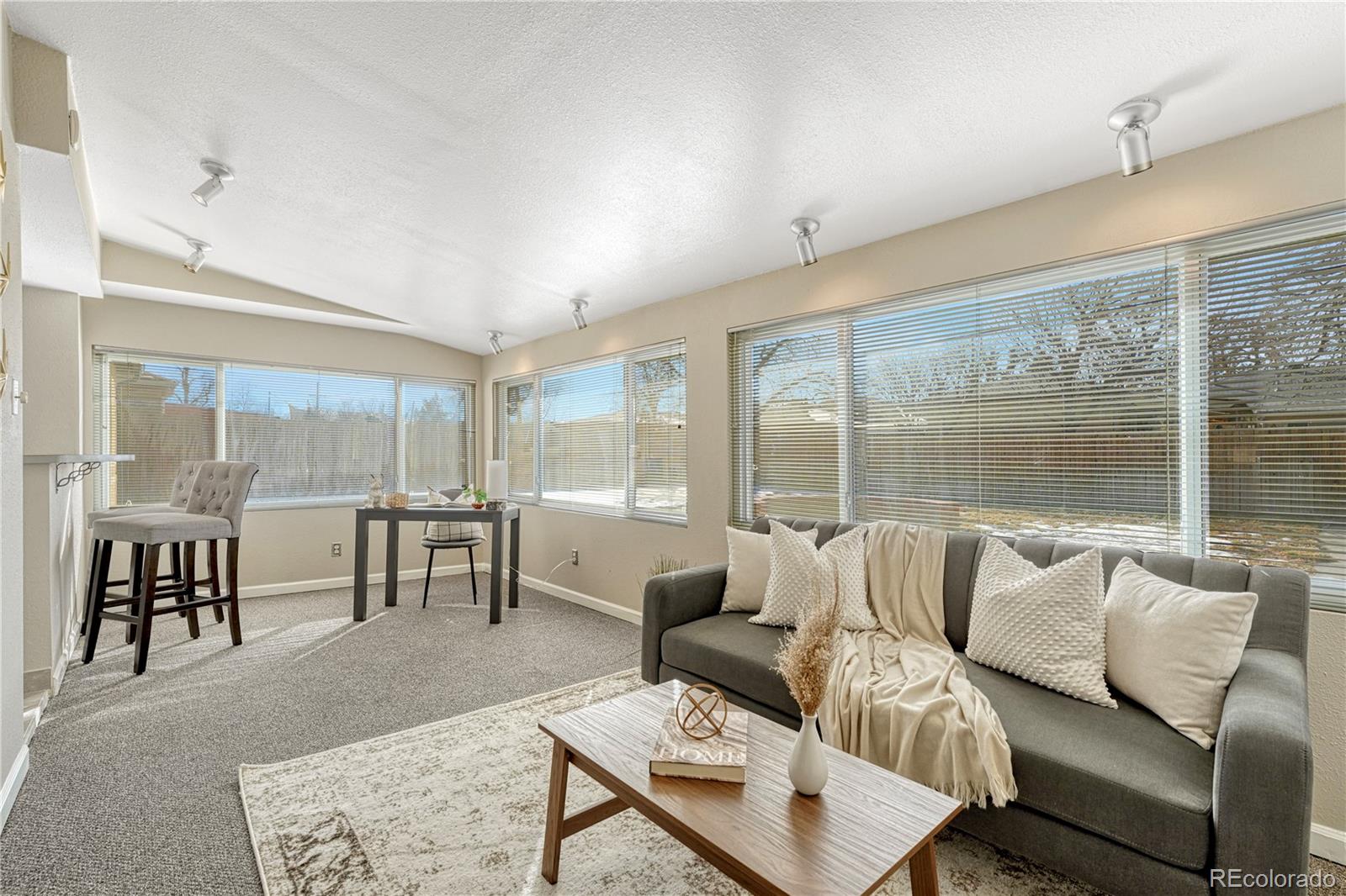 MLS Image #10 for 1059  racine street,aurora, Colorado