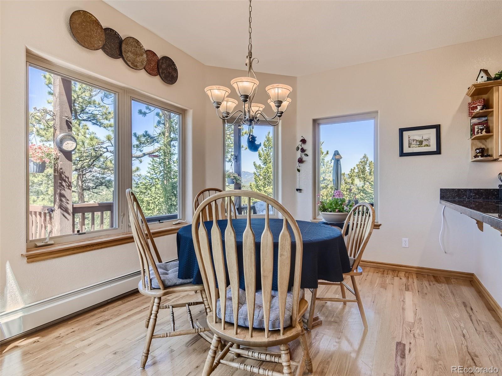 MLS Image #27 for 14441  peaceful way,pine, Colorado