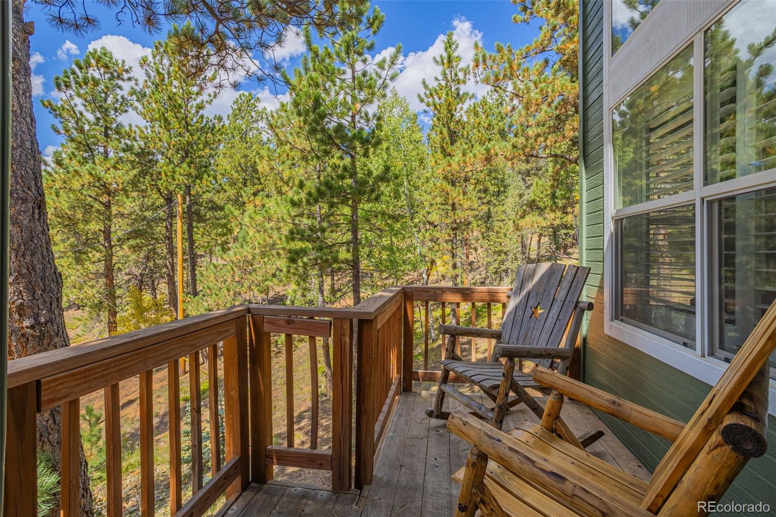 MLS Image #2 for 413  remwood ,divide, Colorado