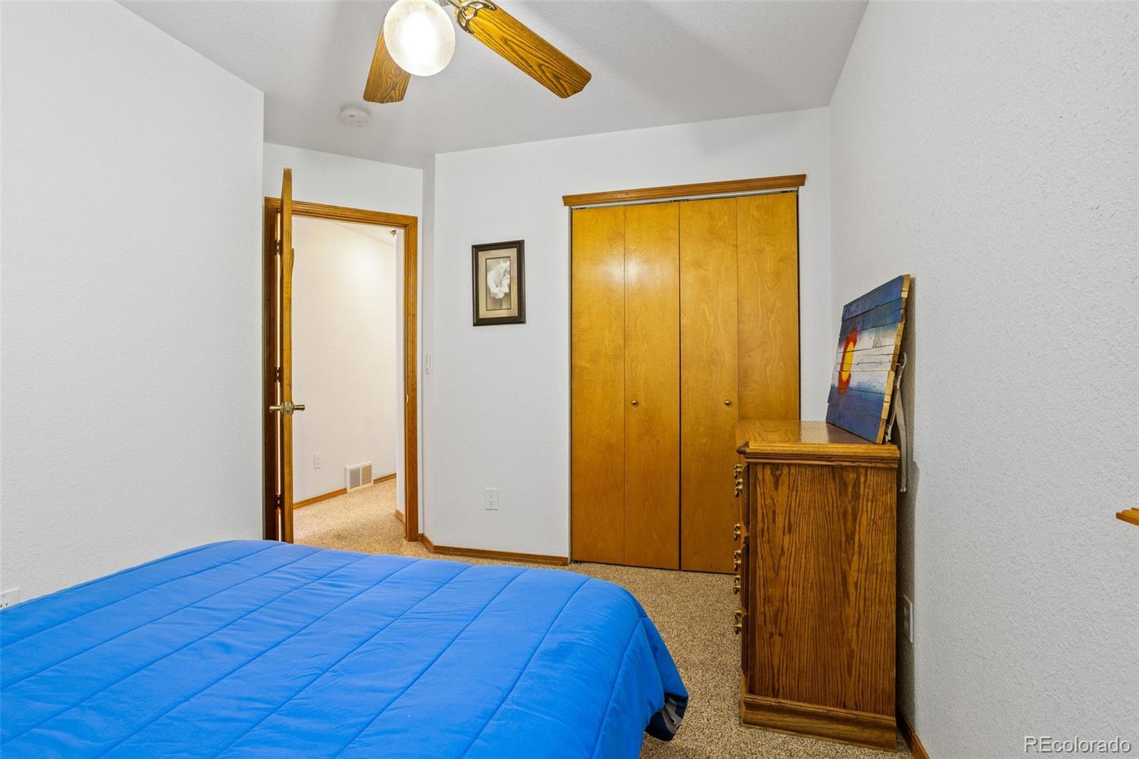 MLS Image #23 for 413  remwood ,divide, Colorado