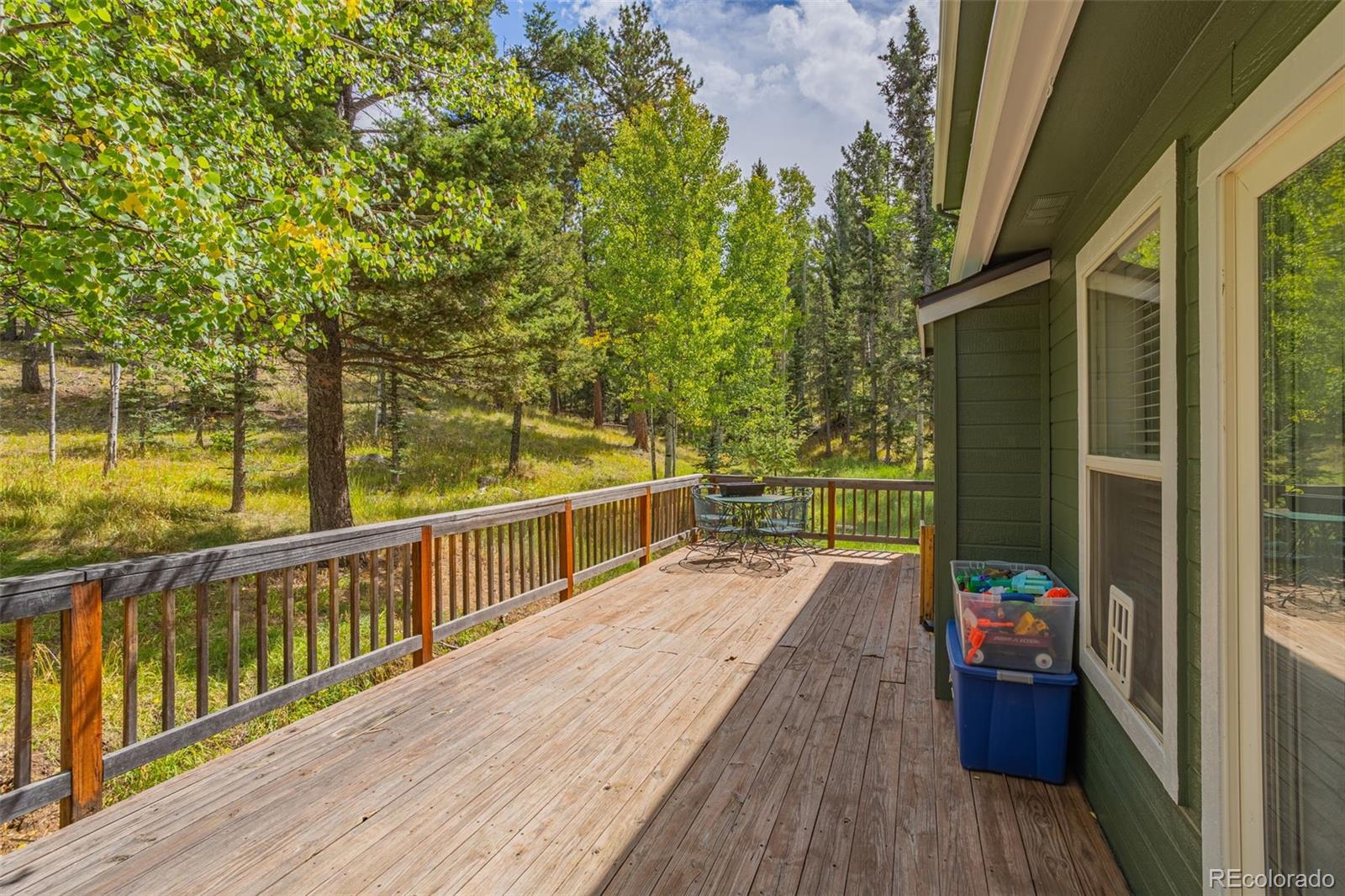 MLS Image #26 for 413  remwood ,divide, Colorado