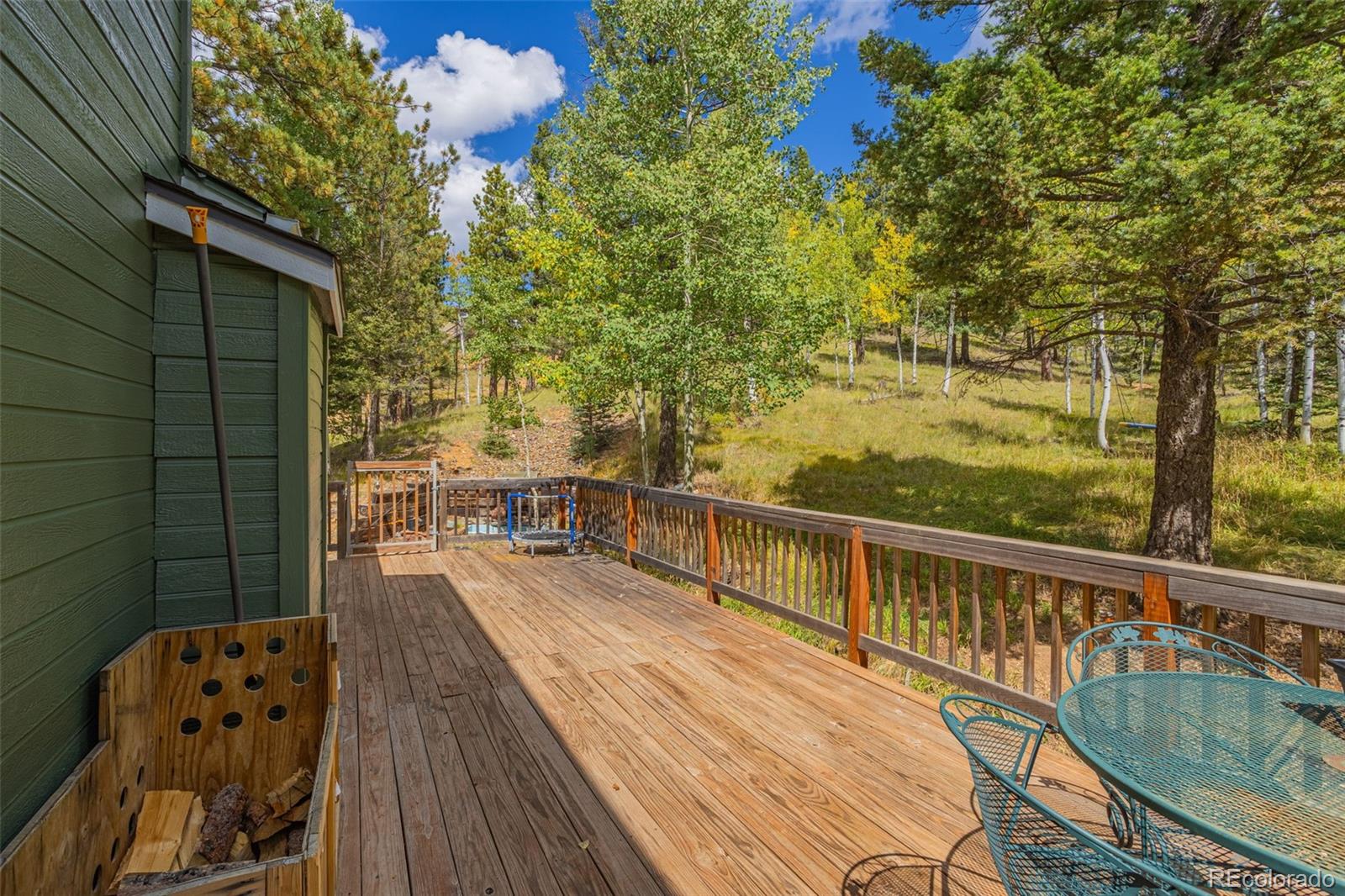 MLS Image #27 for 413  remwood ,divide, Colorado