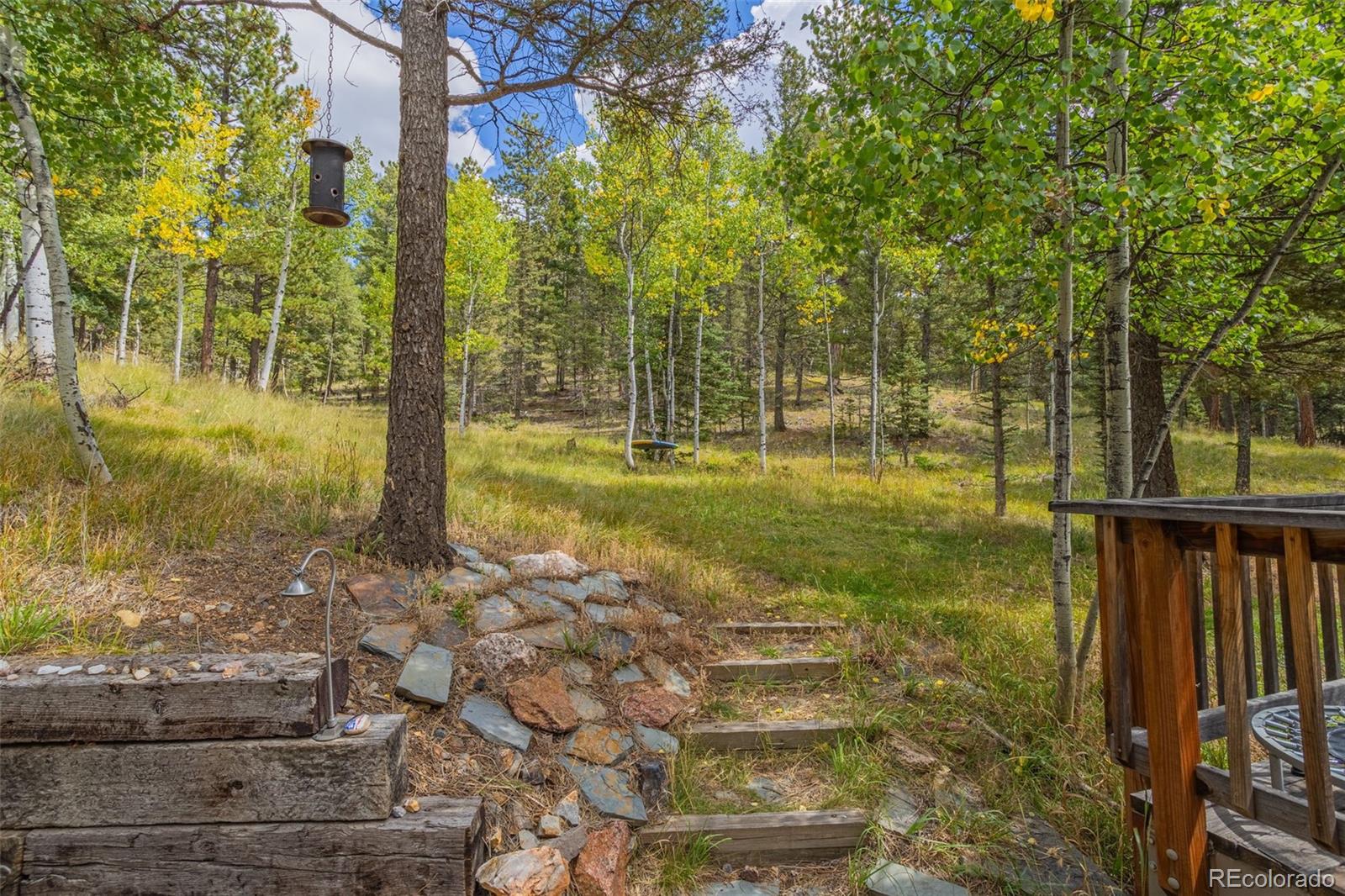 MLS Image #28 for 413  remwood ,divide, Colorado