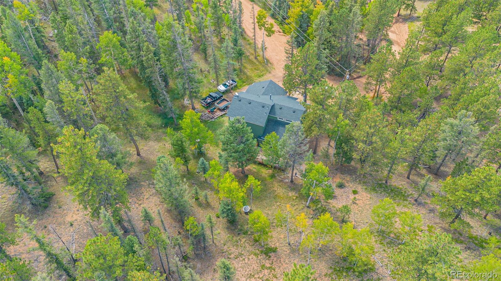 MLS Image #36 for 413  remwood ,divide, Colorado