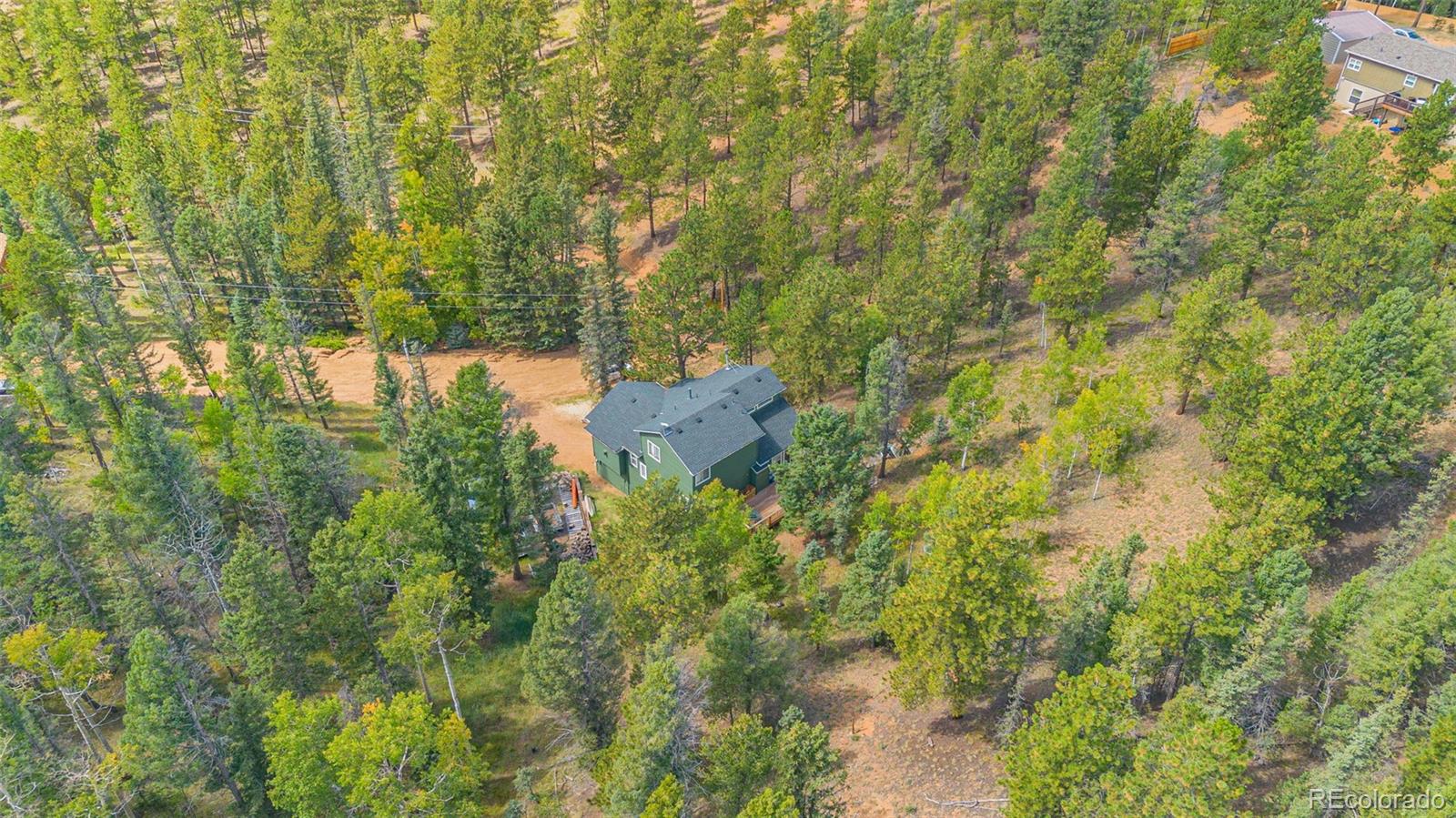 MLS Image #37 for 413  remwood ,divide, Colorado