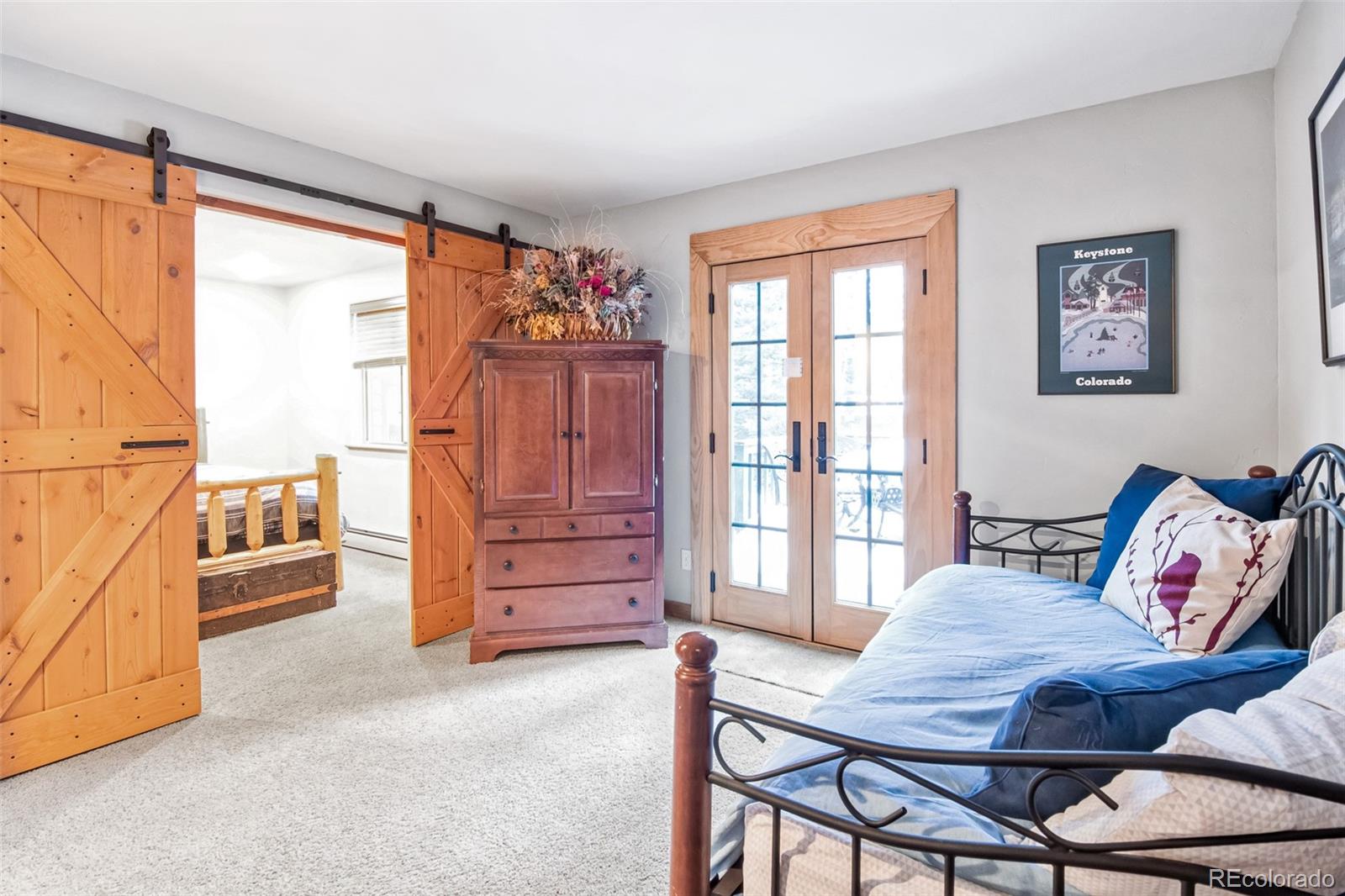 MLS Image #10 for 96  pratt place,alma, Colorado