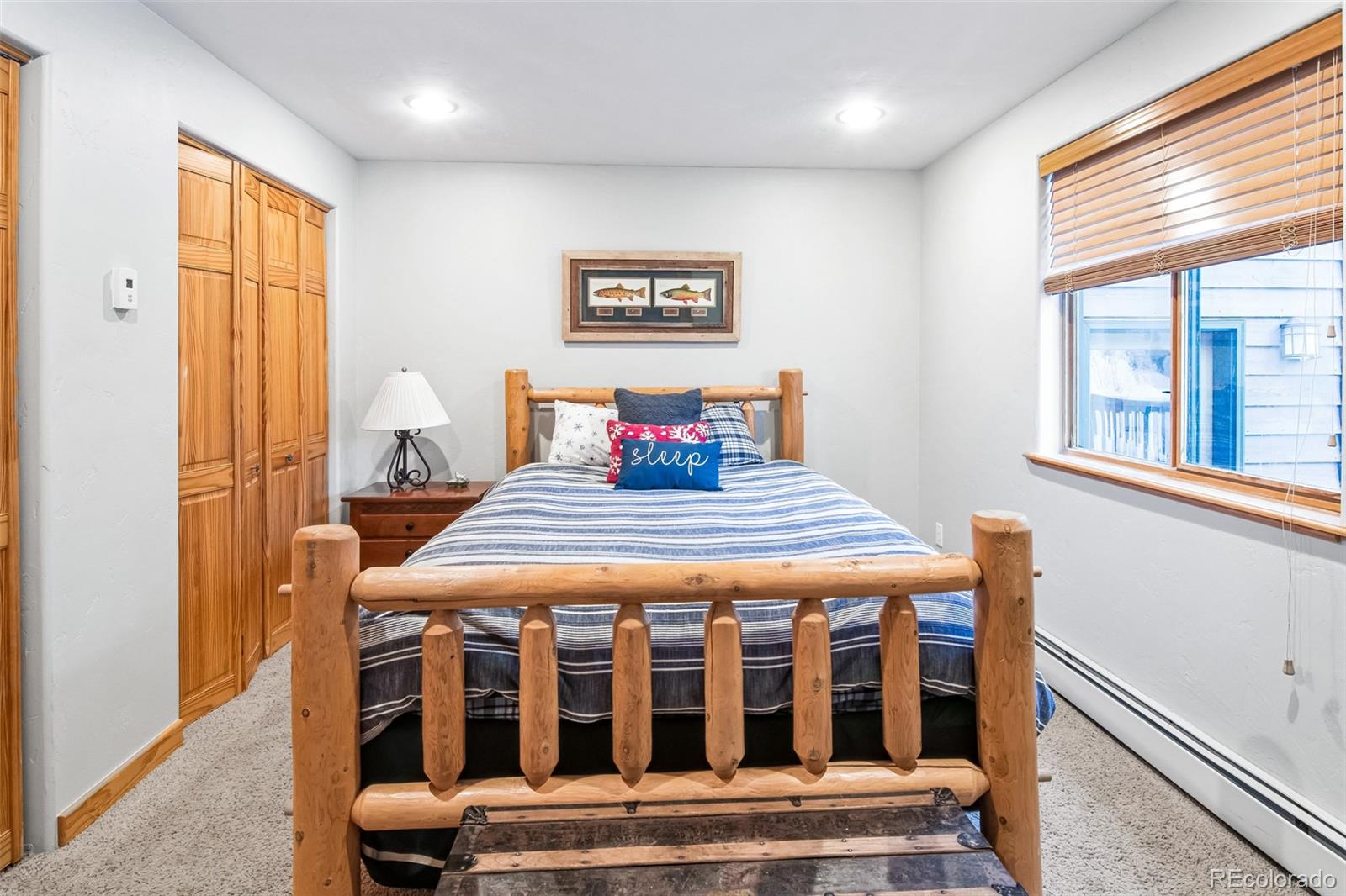 MLS Image #12 for 96  pratt place,alma, Colorado