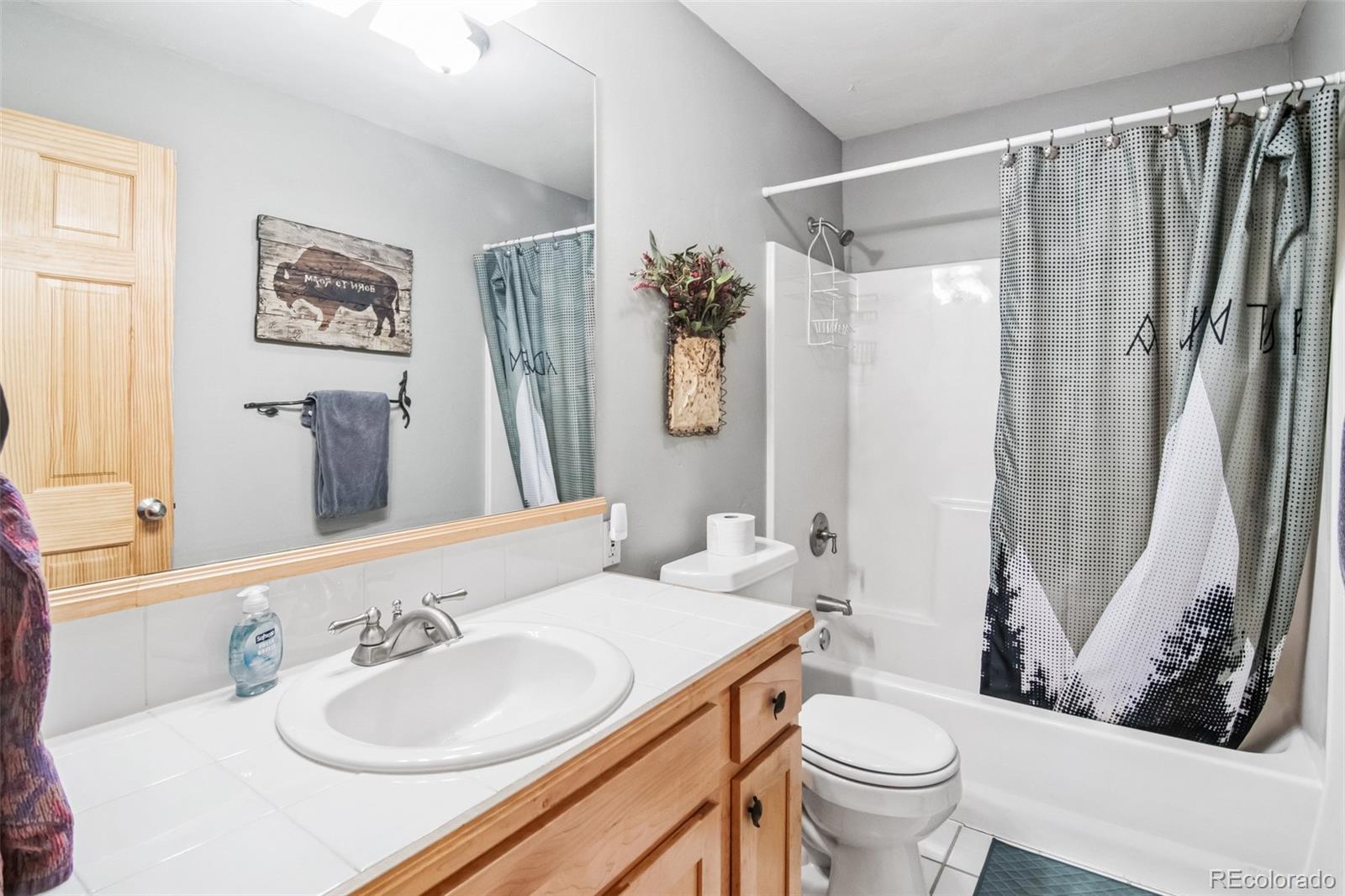 MLS Image #18 for 96  pratt place,alma, Colorado