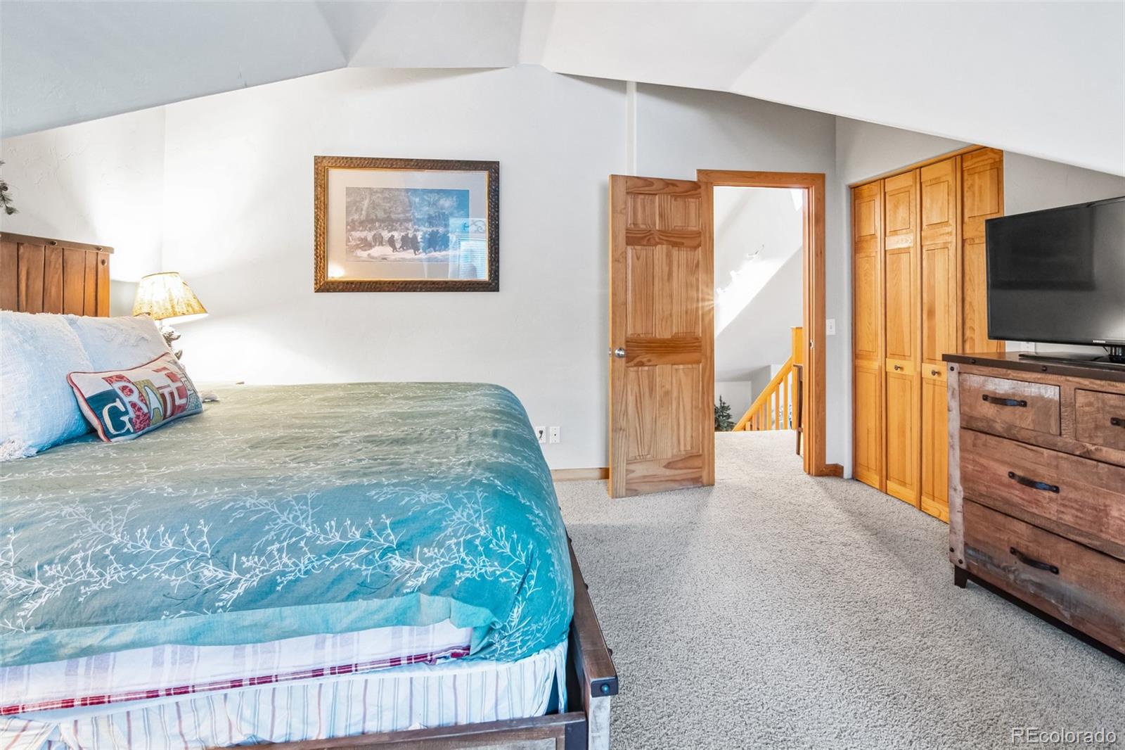 MLS Image #20 for 96  pratt place,alma, Colorado