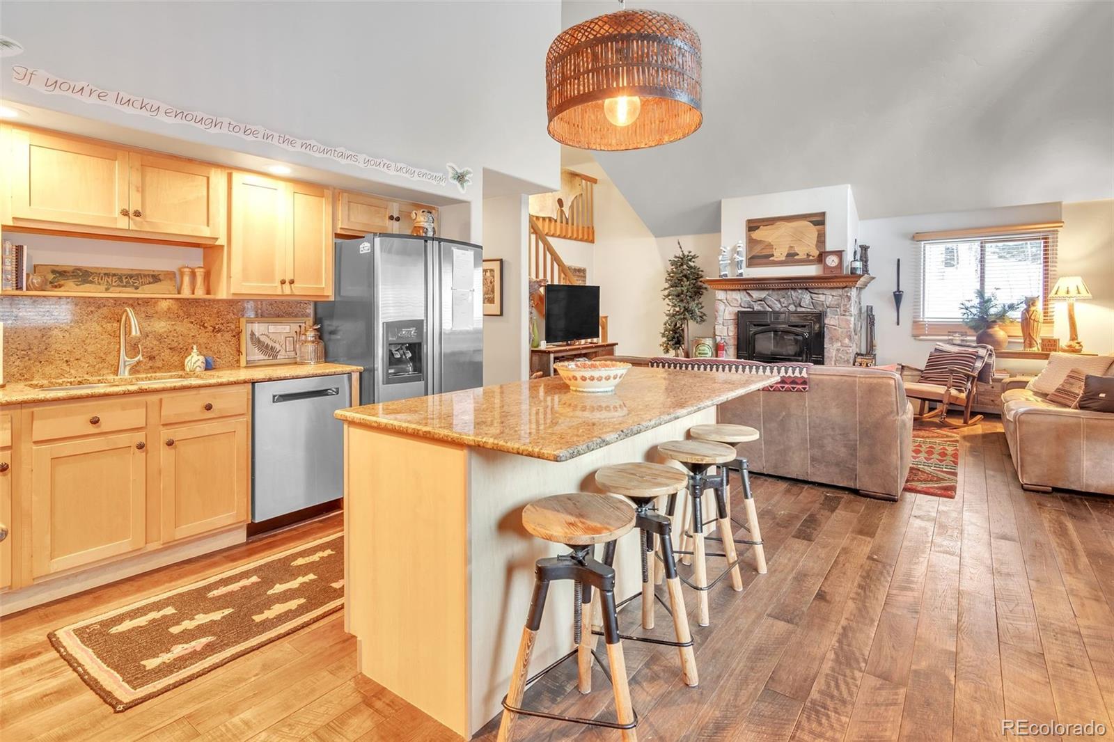 MLS Image #4 for 96  pratt place,alma, Colorado