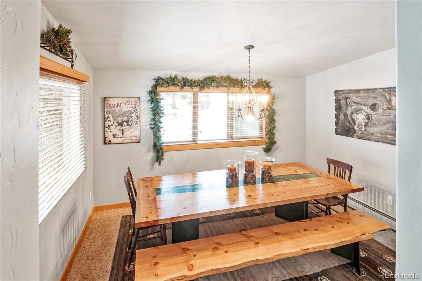 MLS Image #7 for 96  pratt place,alma, Colorado