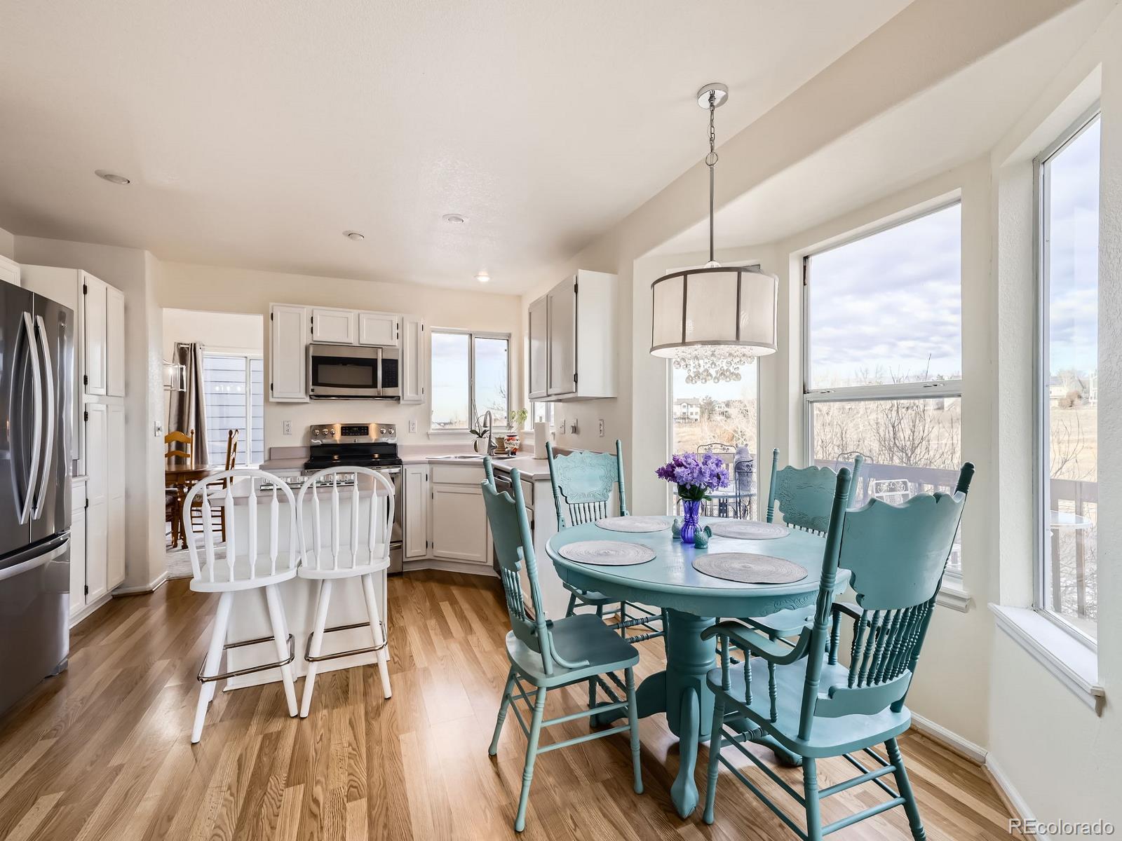 MLS Image #9 for 10048  deer creek street,highlands ranch, Colorado