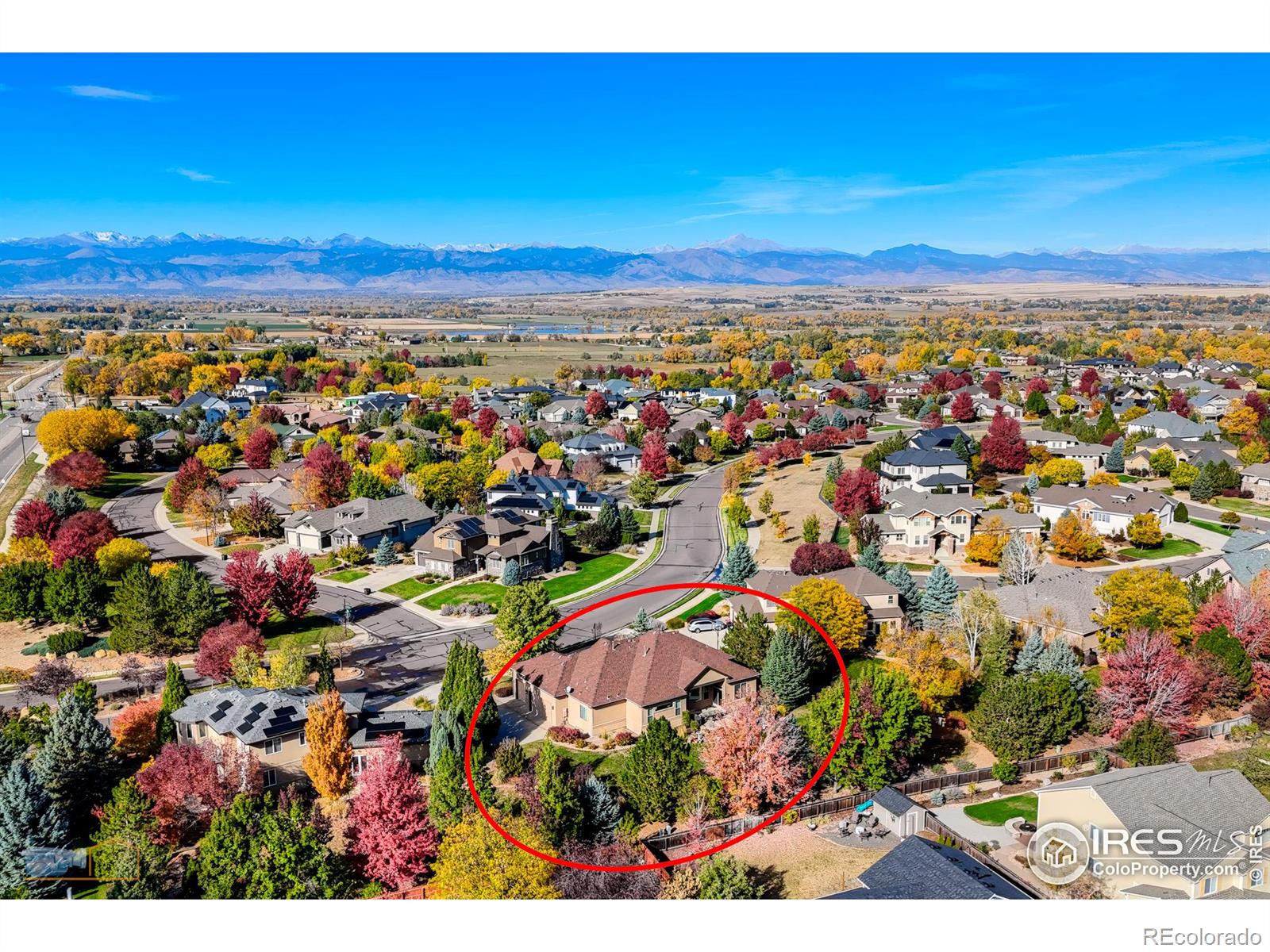 CMA Image for 449  Meadow View Parkway,Erie, Colorado