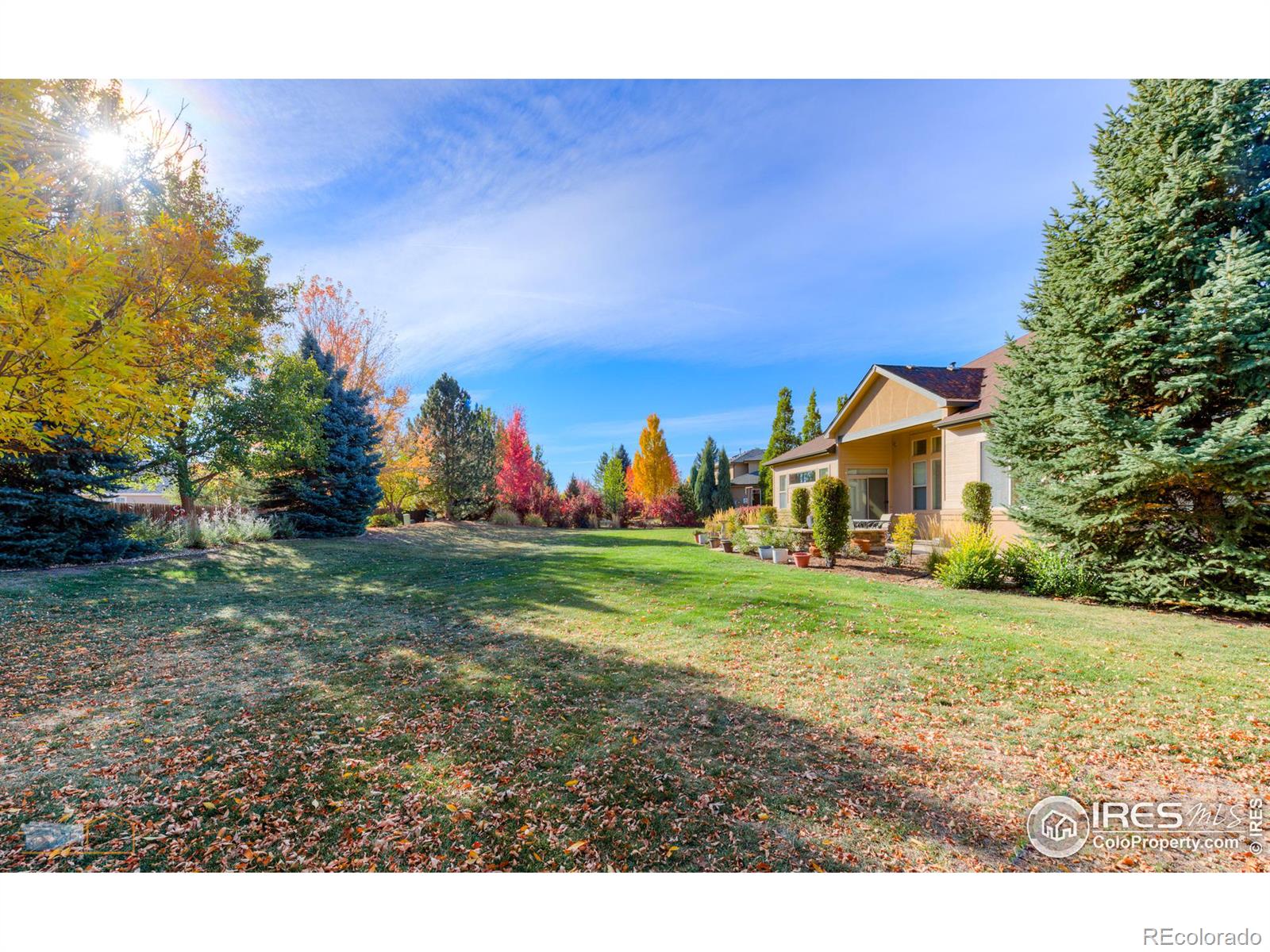 MLS Image #18 for 449  meadow view parkway,erie, Colorado