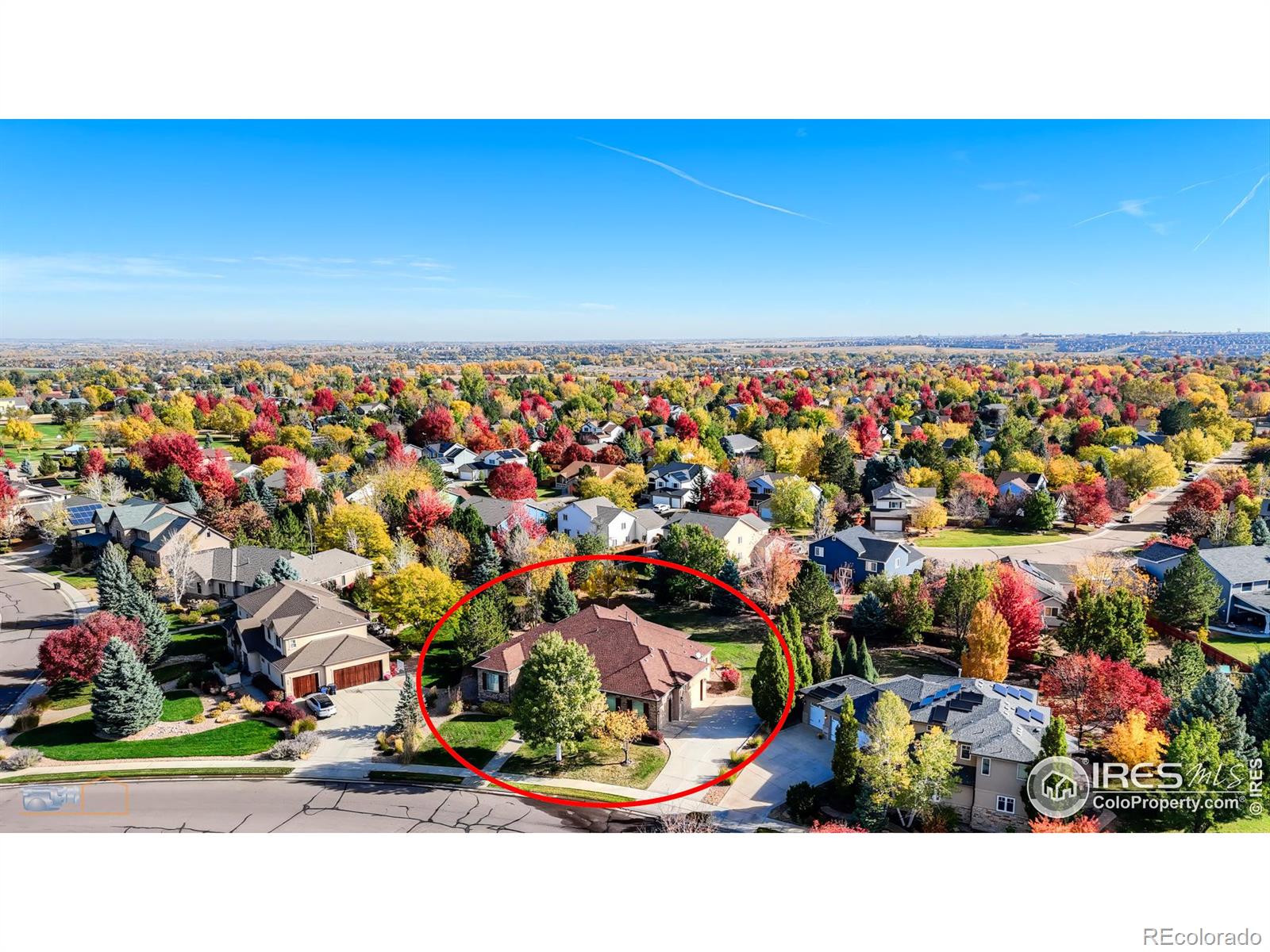 MLS Image #2 for 449  meadow view parkway,erie, Colorado