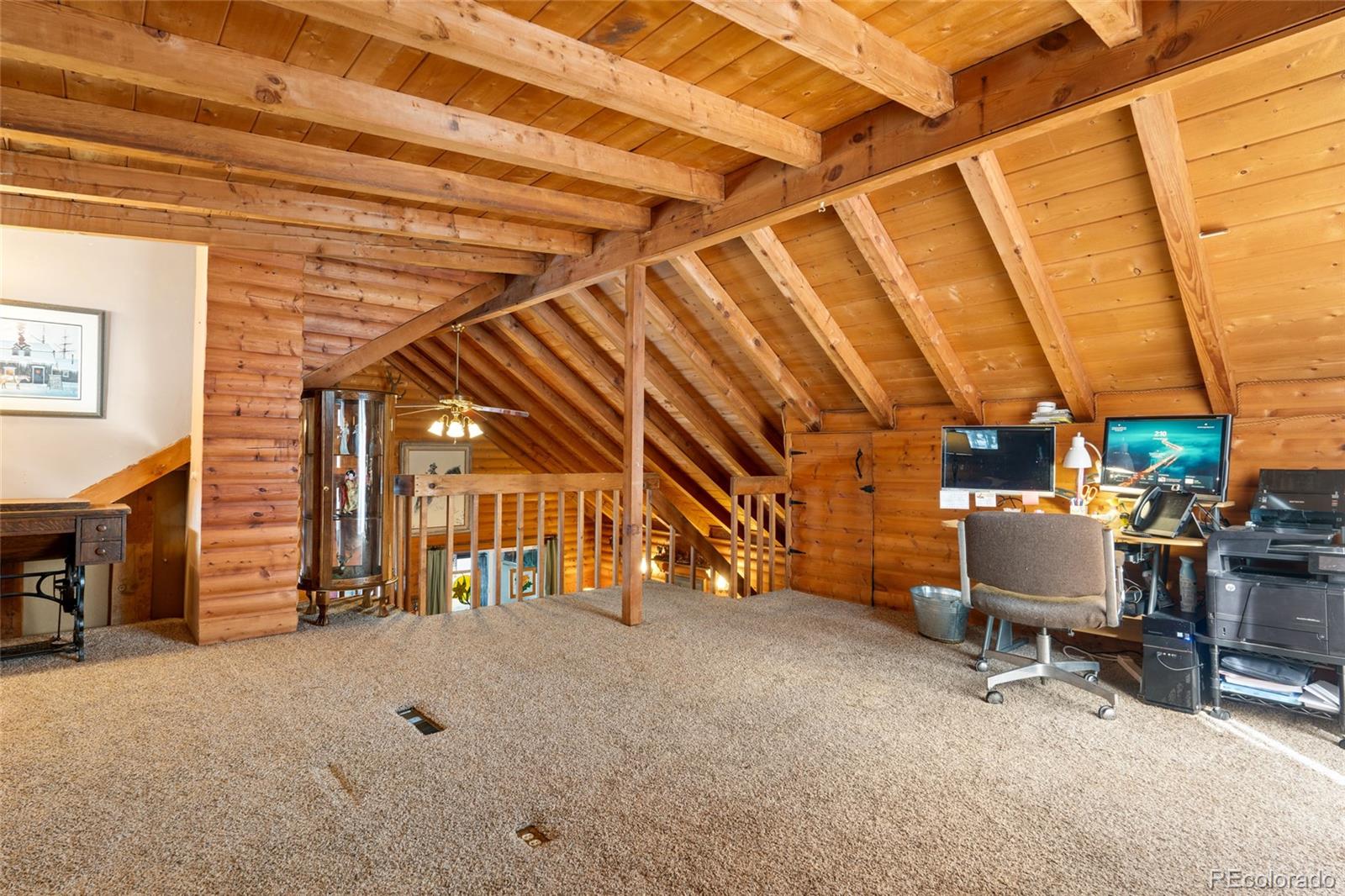 MLS Image #18 for 9061  rex lane,conifer, Colorado