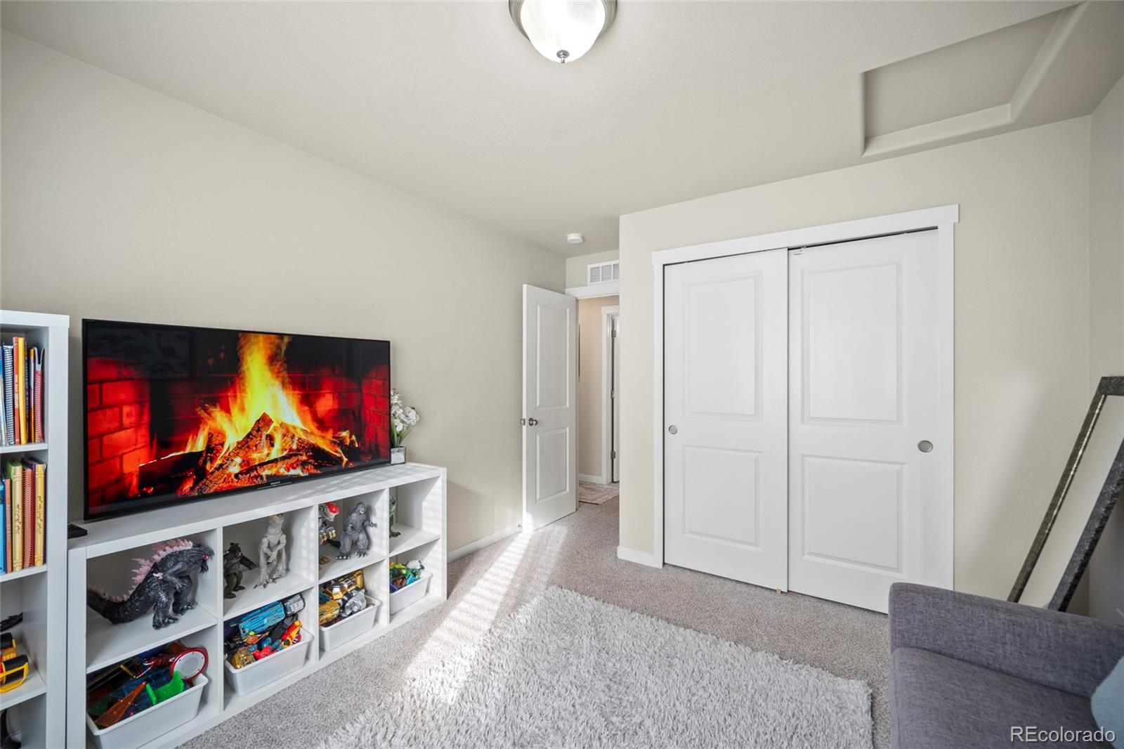 MLS Image #19 for 7749  frigid air point,colorado springs, Colorado