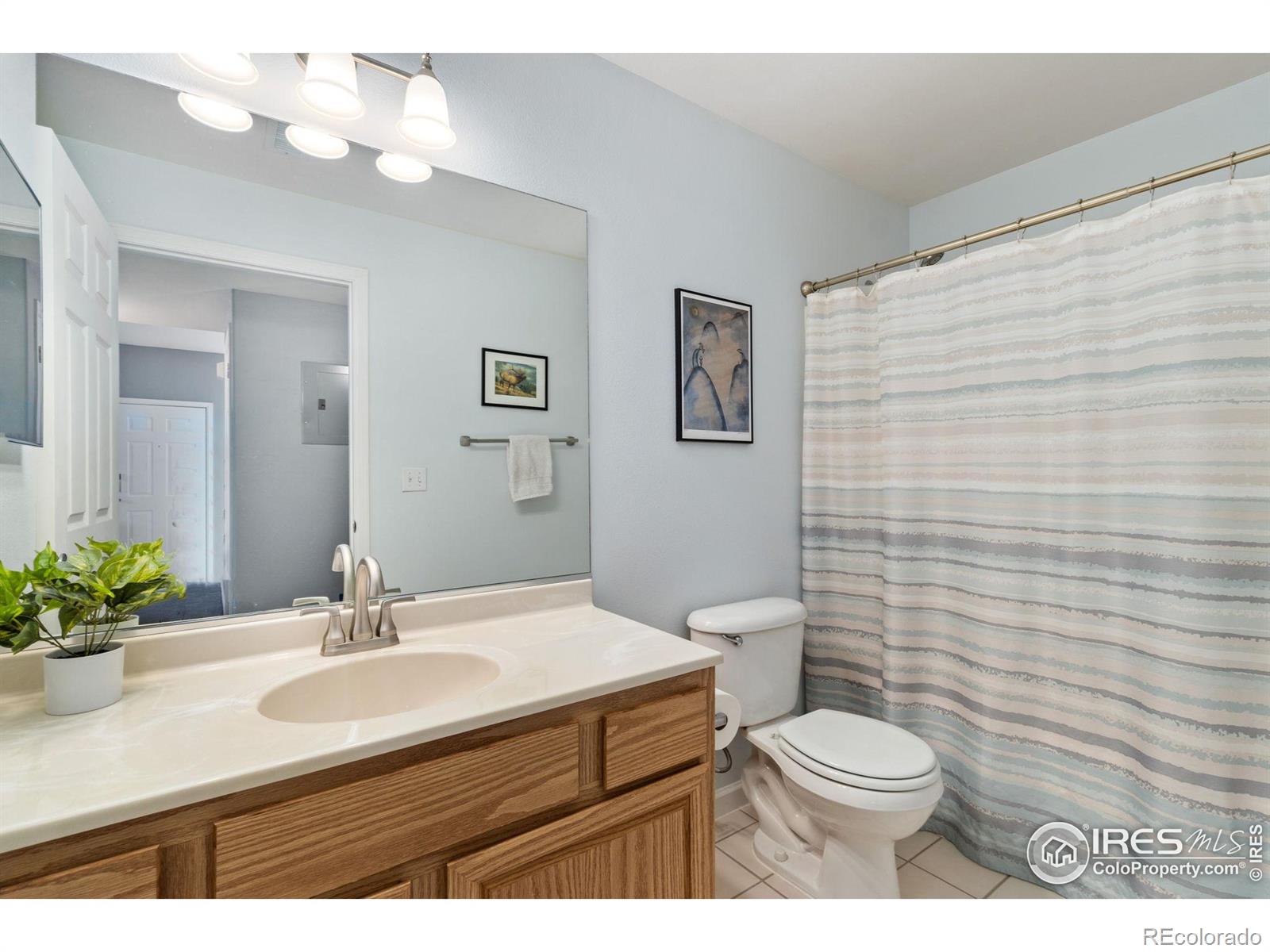 MLS Image #9 for 1138  opal street,broomfield, Colorado