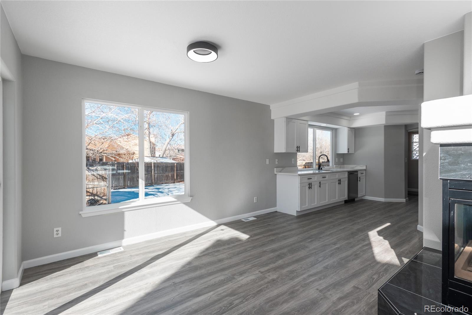 MLS Image #5 for 4575  gibraltar street,denver, Colorado