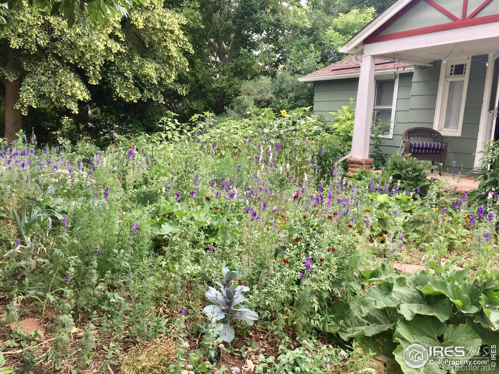 MLS Image #2 for 414  stickney avenue,lyons, Colorado