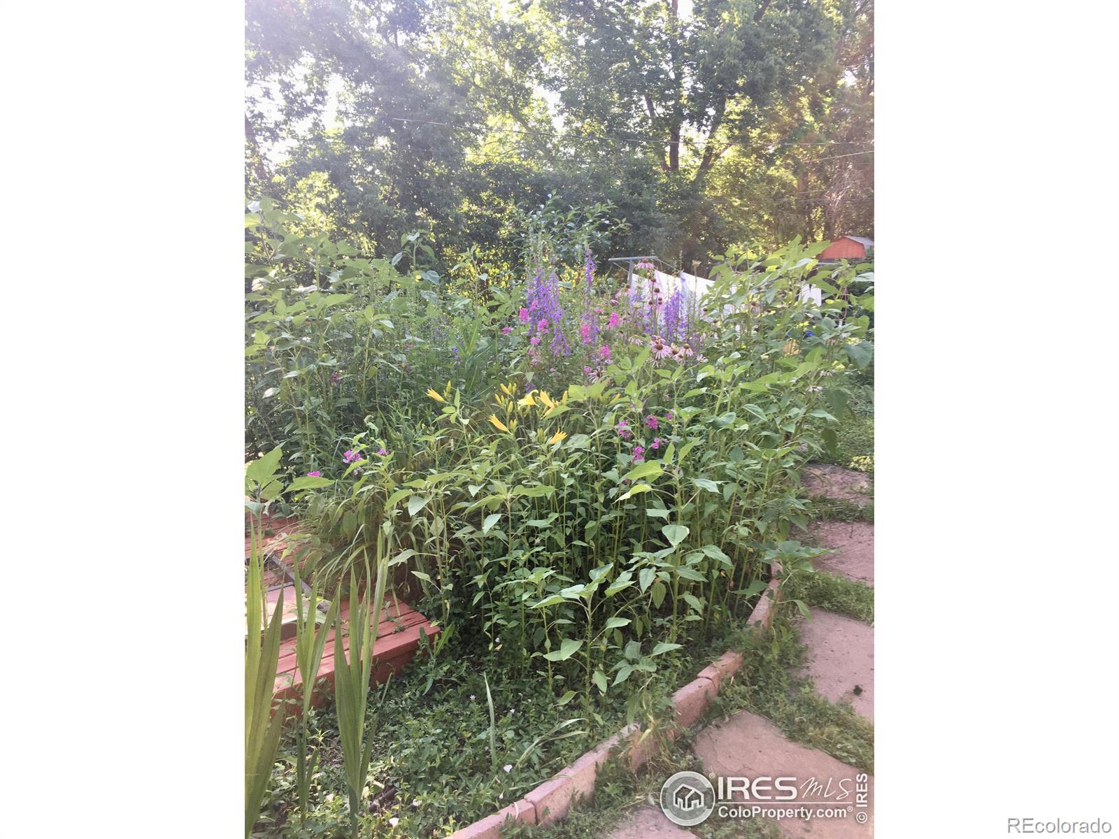 MLS Image #27 for 414  stickney avenue,lyons, Colorado