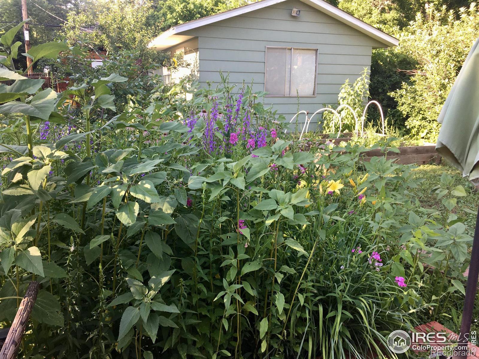 MLS Image #30 for 414  stickney avenue,lyons, Colorado