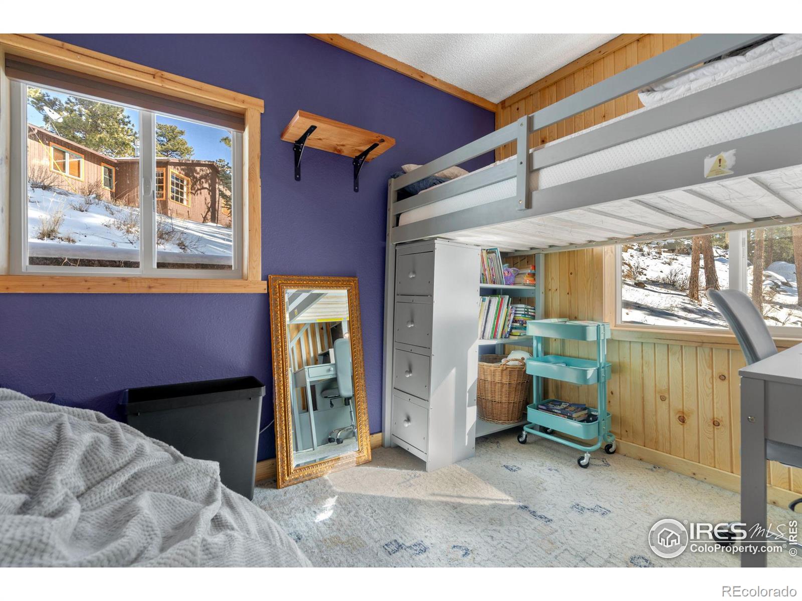 MLS Image #23 for 810  larkspur road,estes park, Colorado