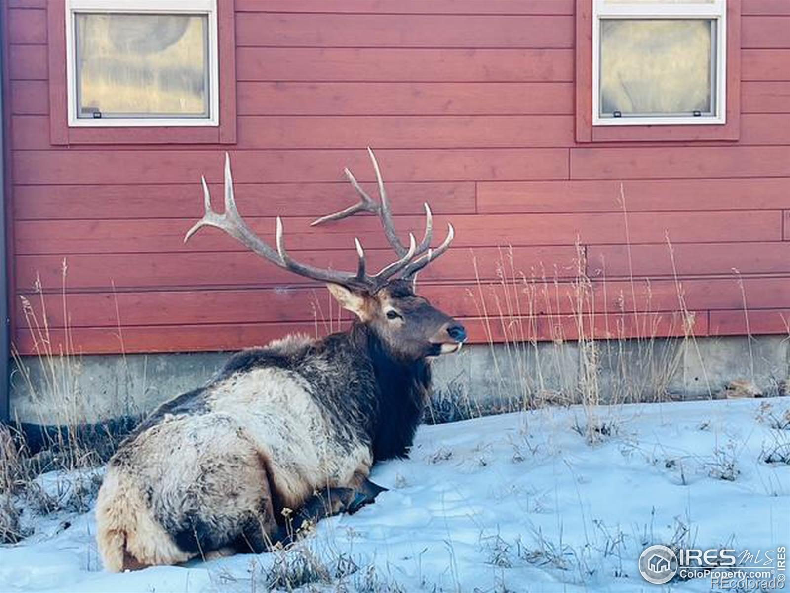 MLS Image #34 for 810  larkspur road,estes park, Colorado