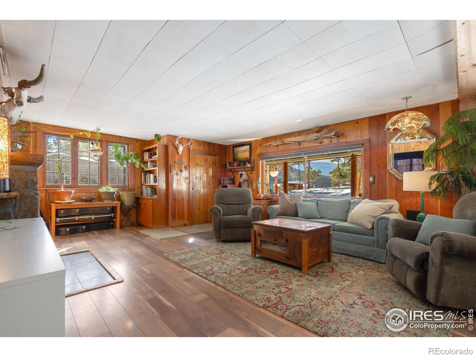 MLS Image #4 for 810  larkspur road,estes park, Colorado